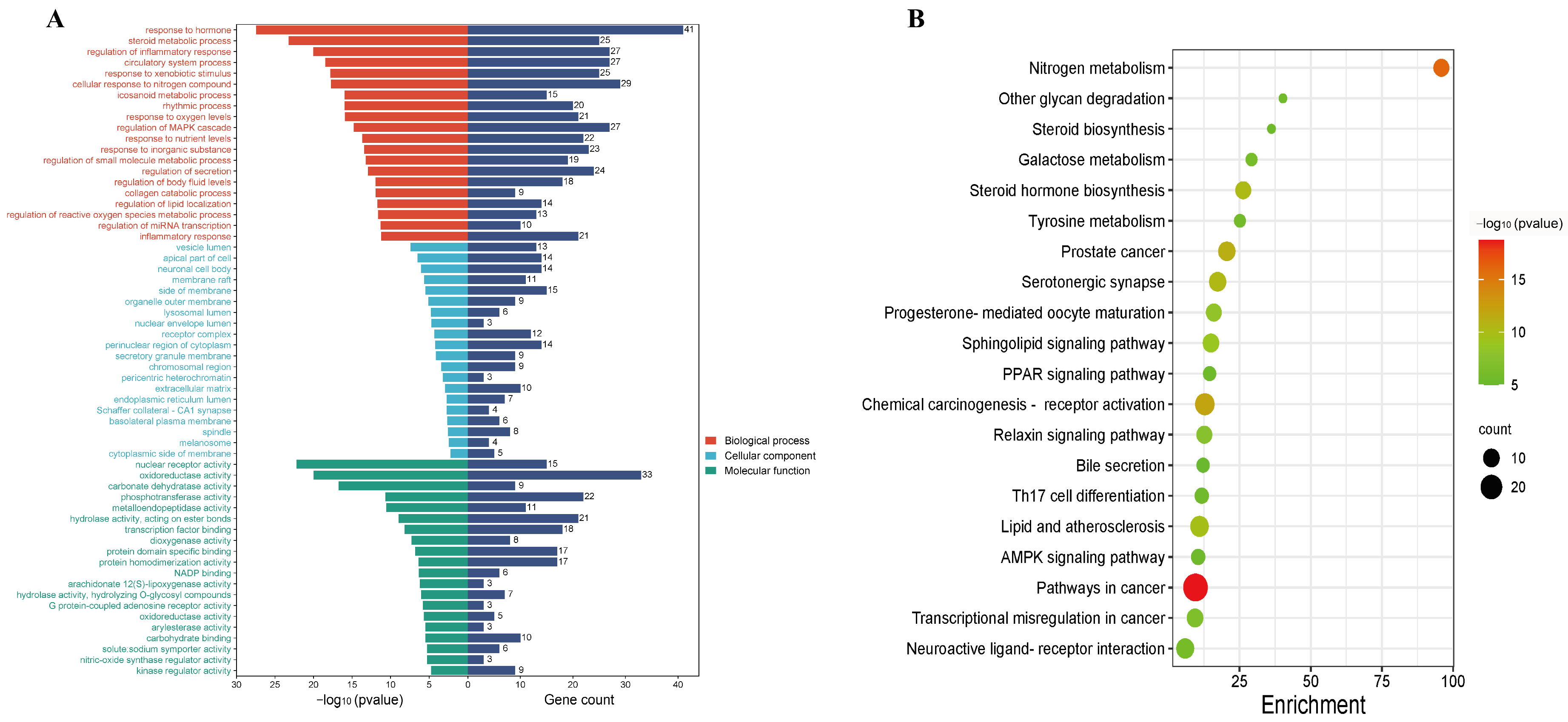 Pharmaceuticals 17 01675 g003