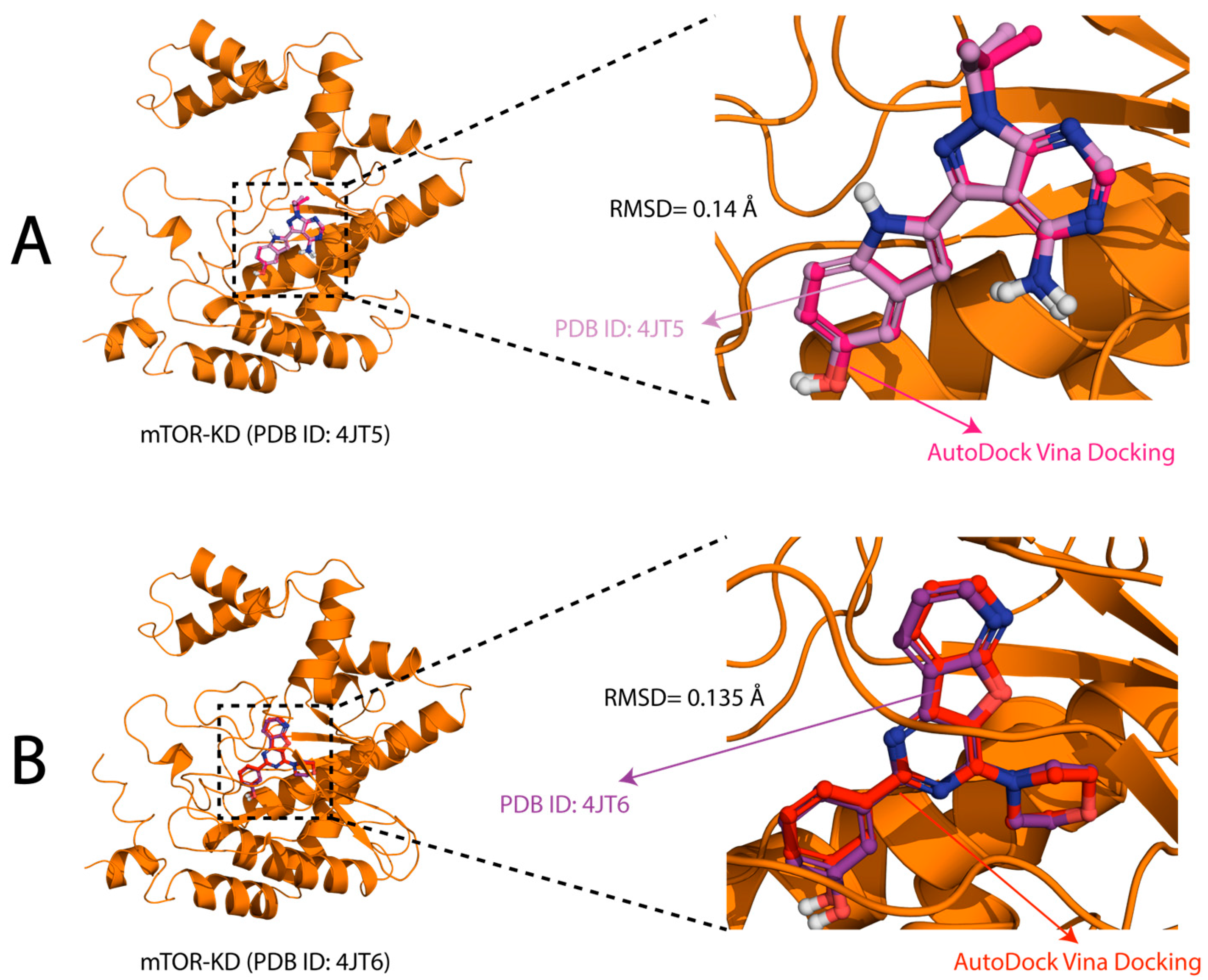 Pharmaceuticals 17 01677 g002