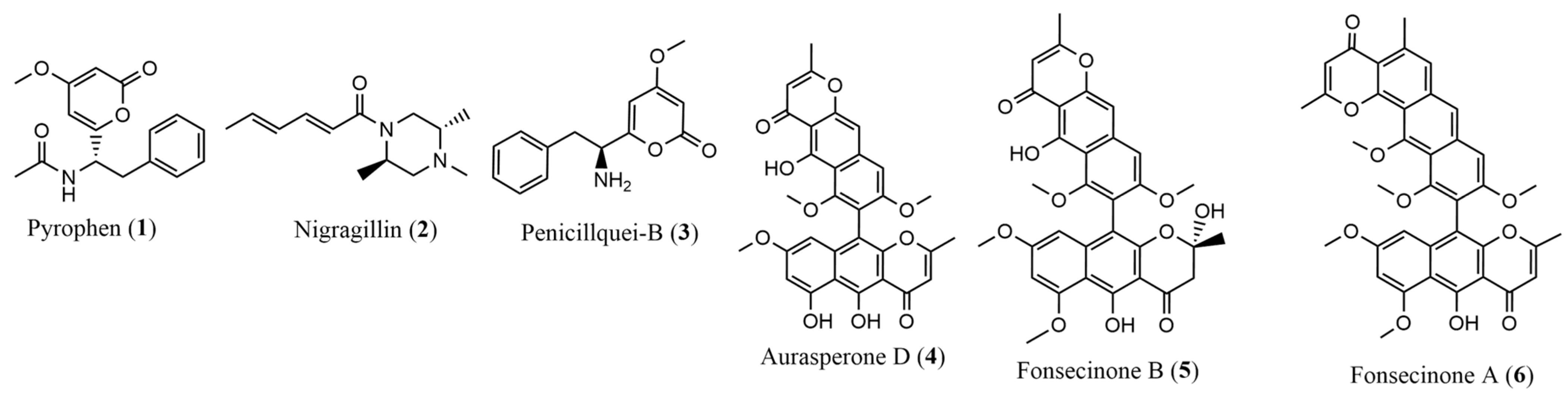 Pharmaceuticals 17 01678 g009