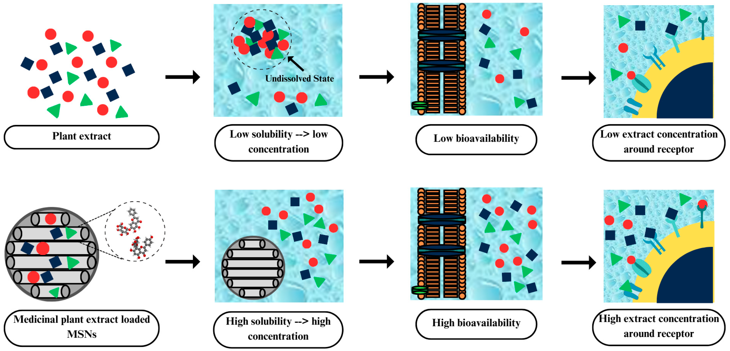Pharmaceuticals 17 01684 g005