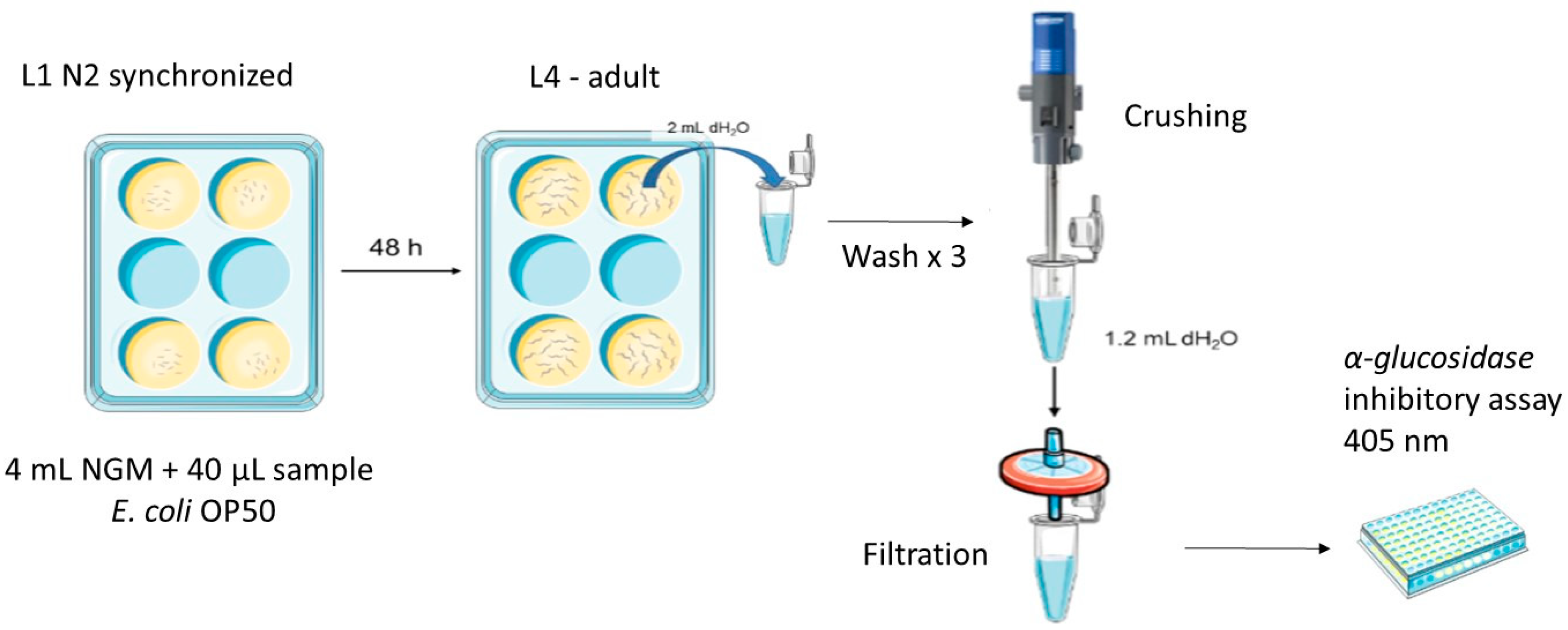 Pharmaceuticals 17 01685 g005