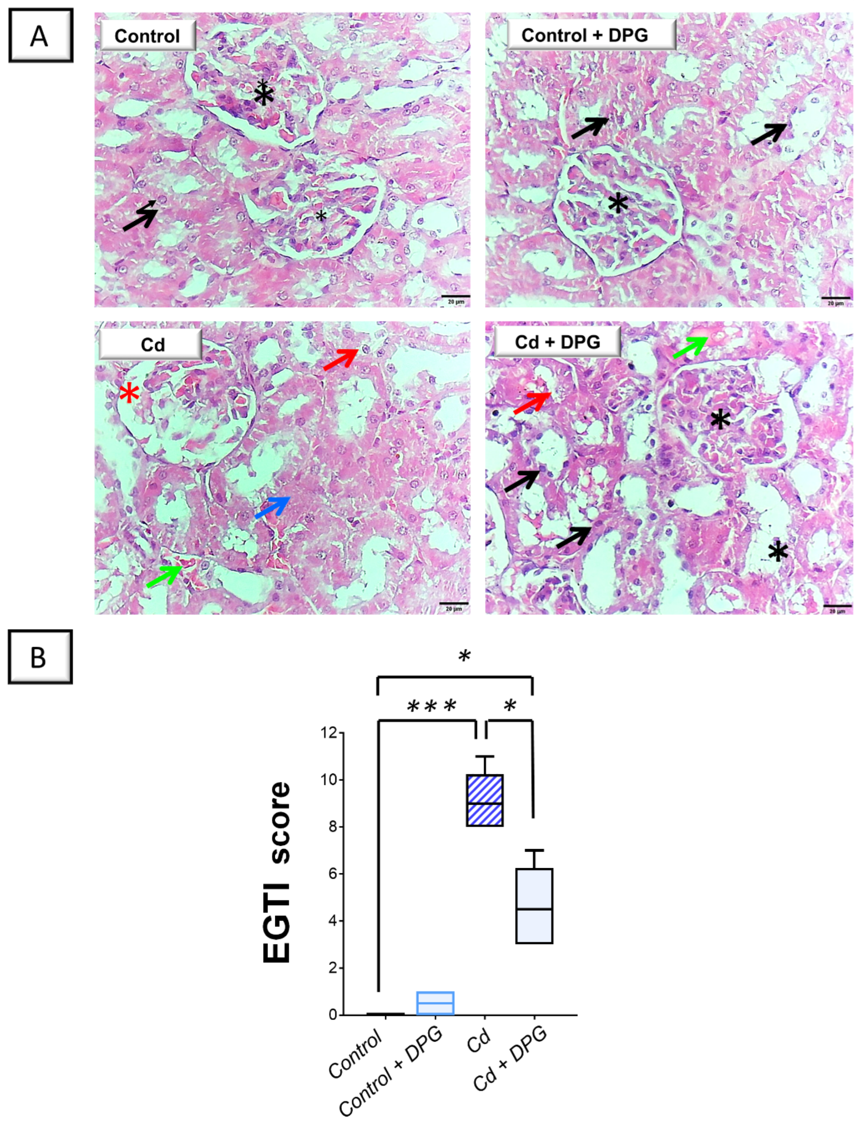Pharmaceuticals 17 01690 g003