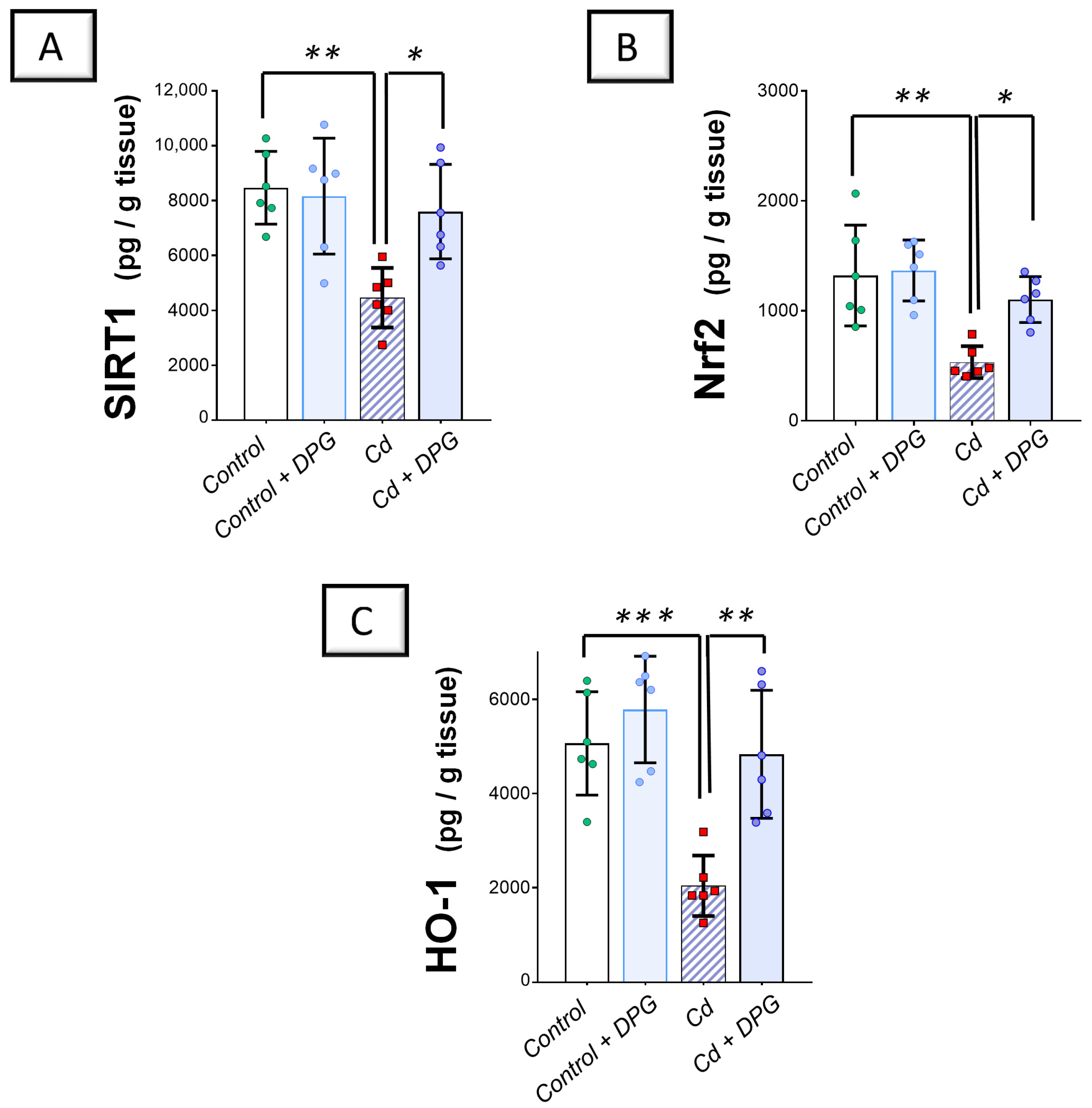 Pharmaceuticals 17 01690 g005