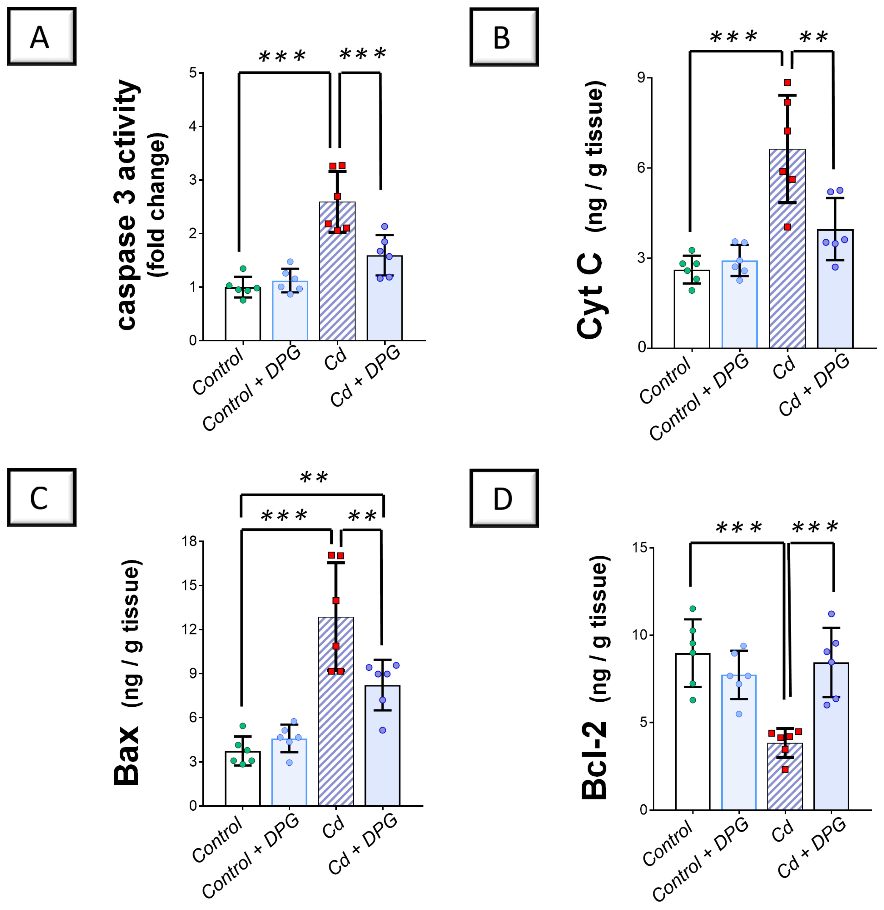 Pharmaceuticals 17 01690 g006