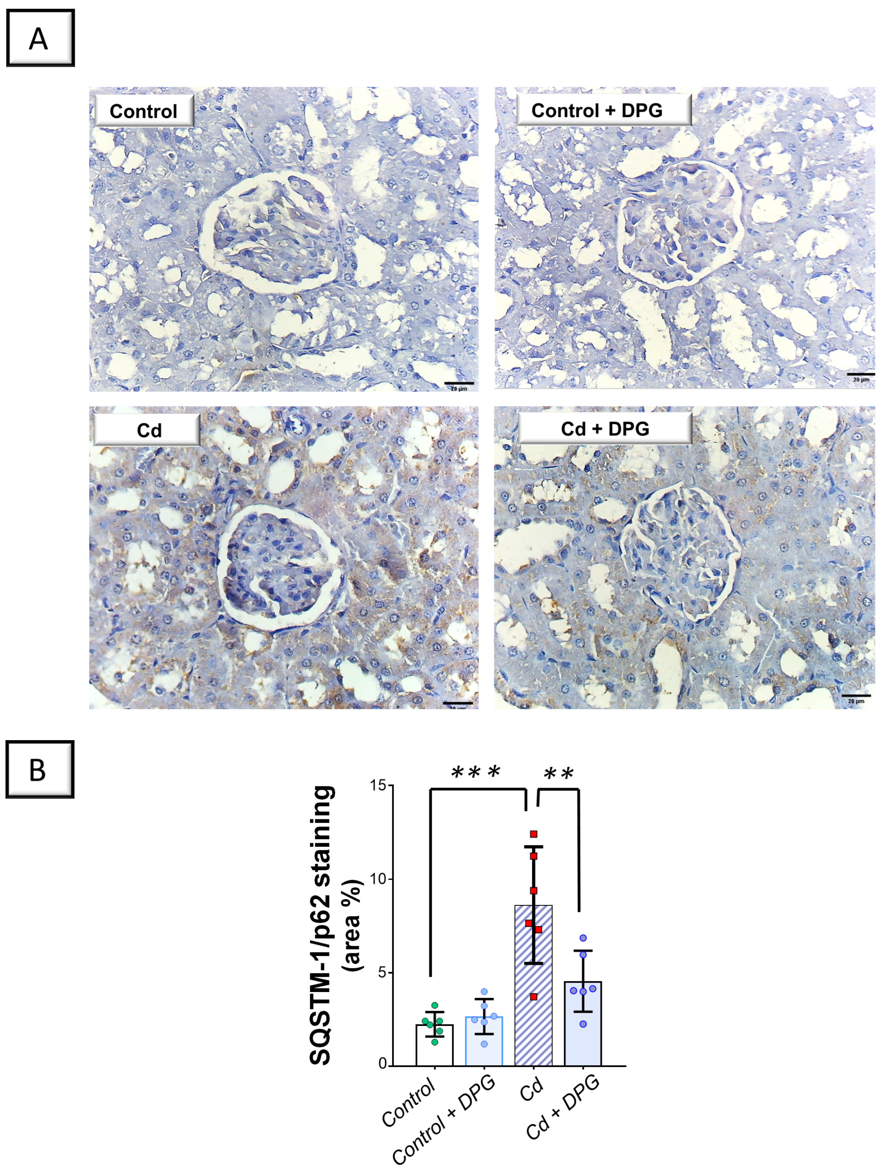 Pharmaceuticals 17 01690 g007