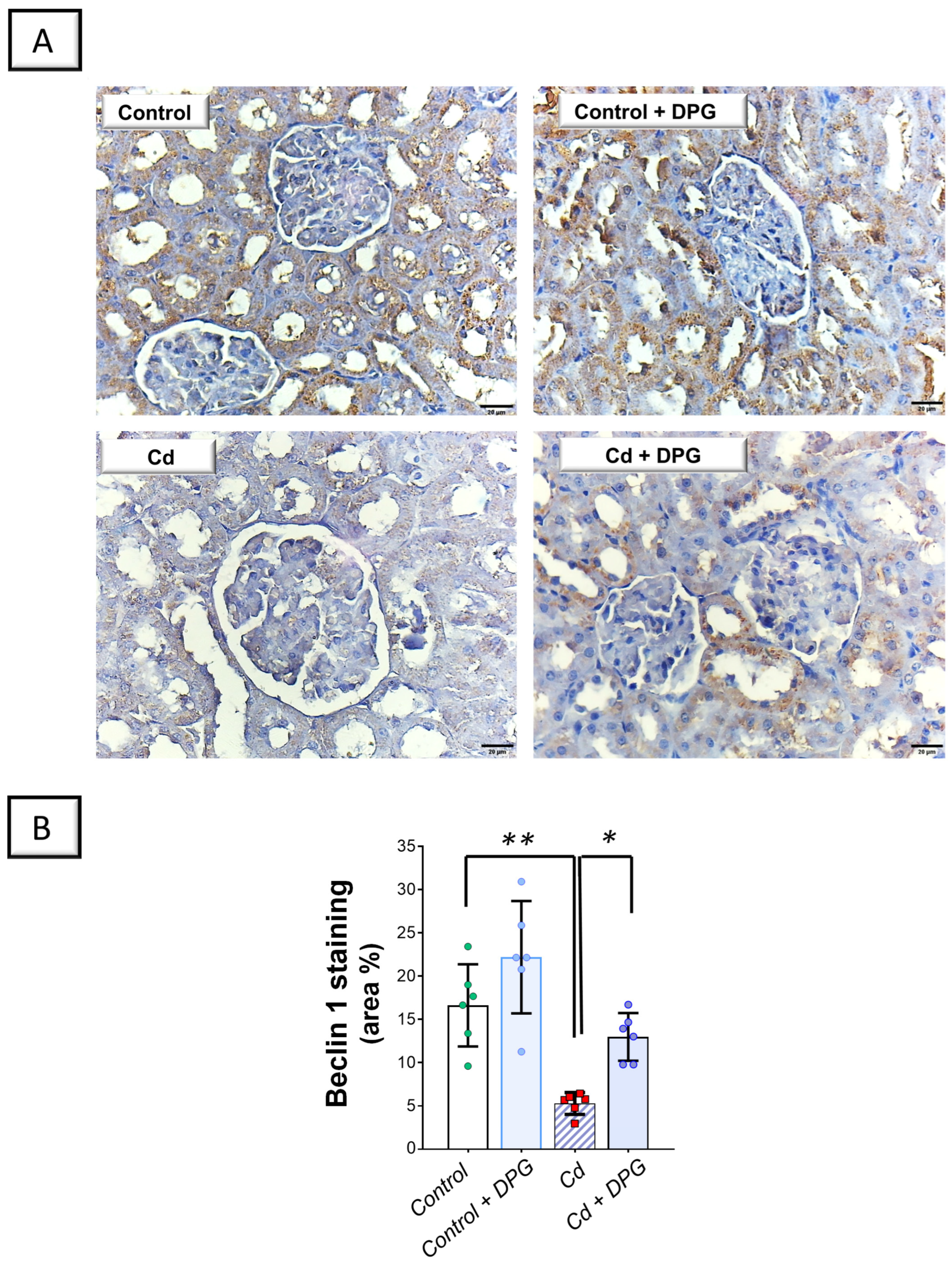 Pharmaceuticals 17 01690 g008