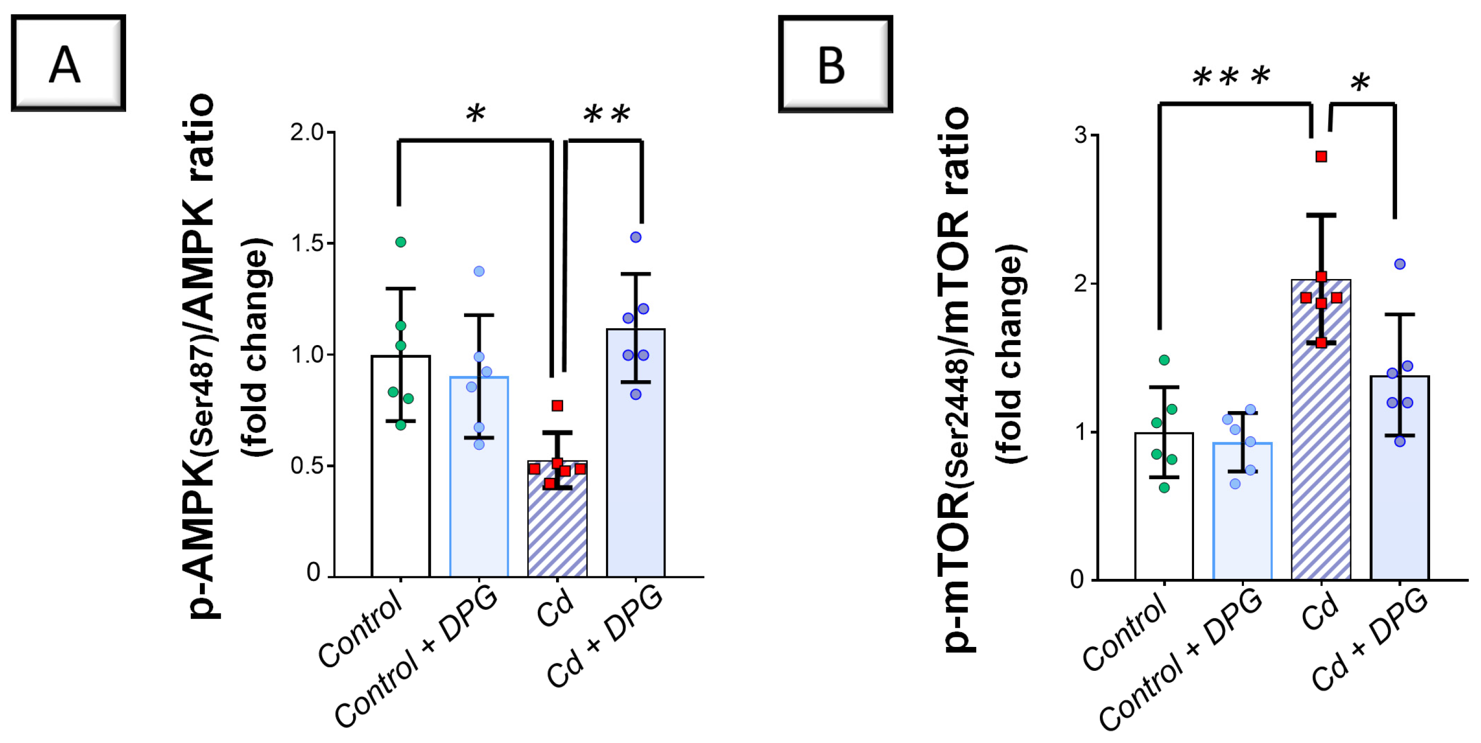 Pharmaceuticals 17 01690 g009