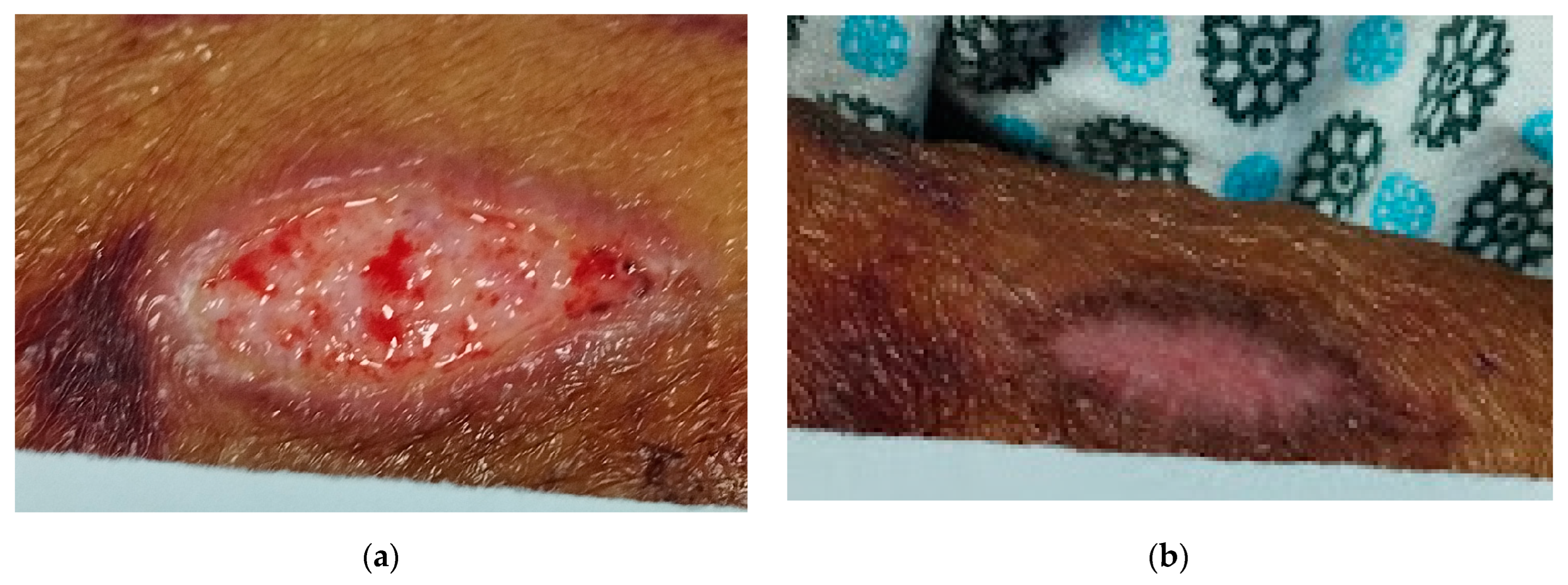 Pharmaceuticals 17 01691 g002