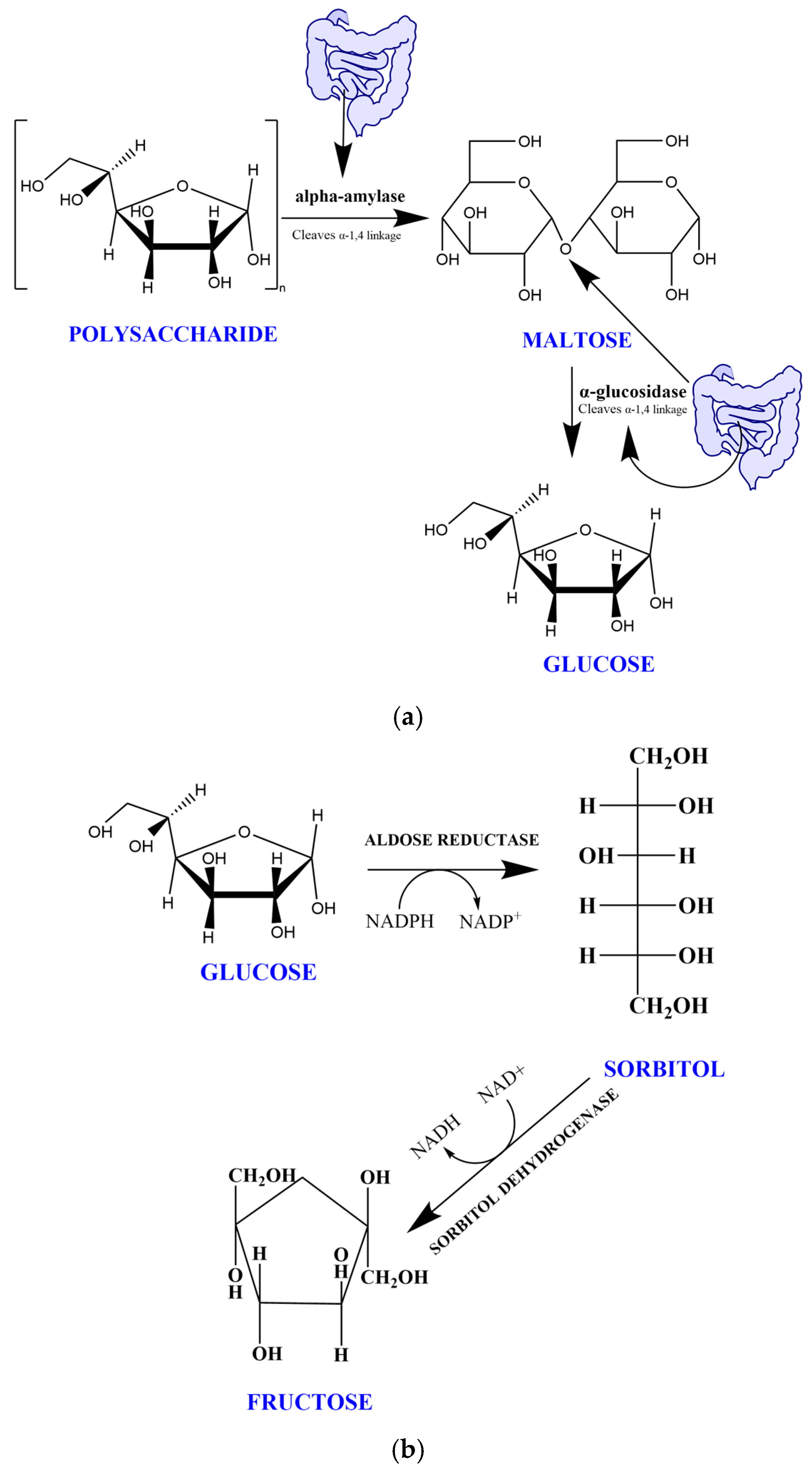 Pharmaceuticals 17 01692 g001