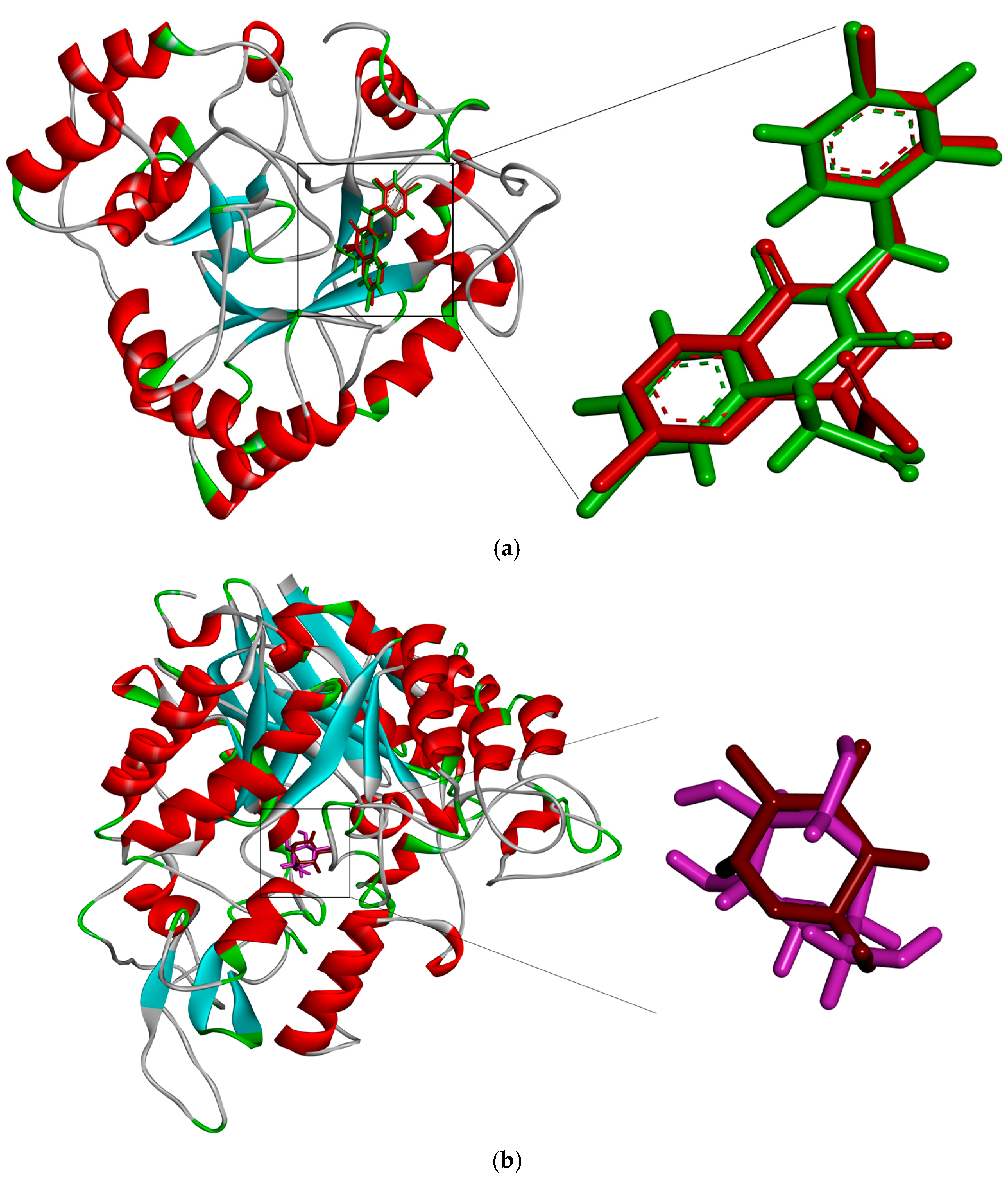 Pharmaceuticals 17 01692 g007