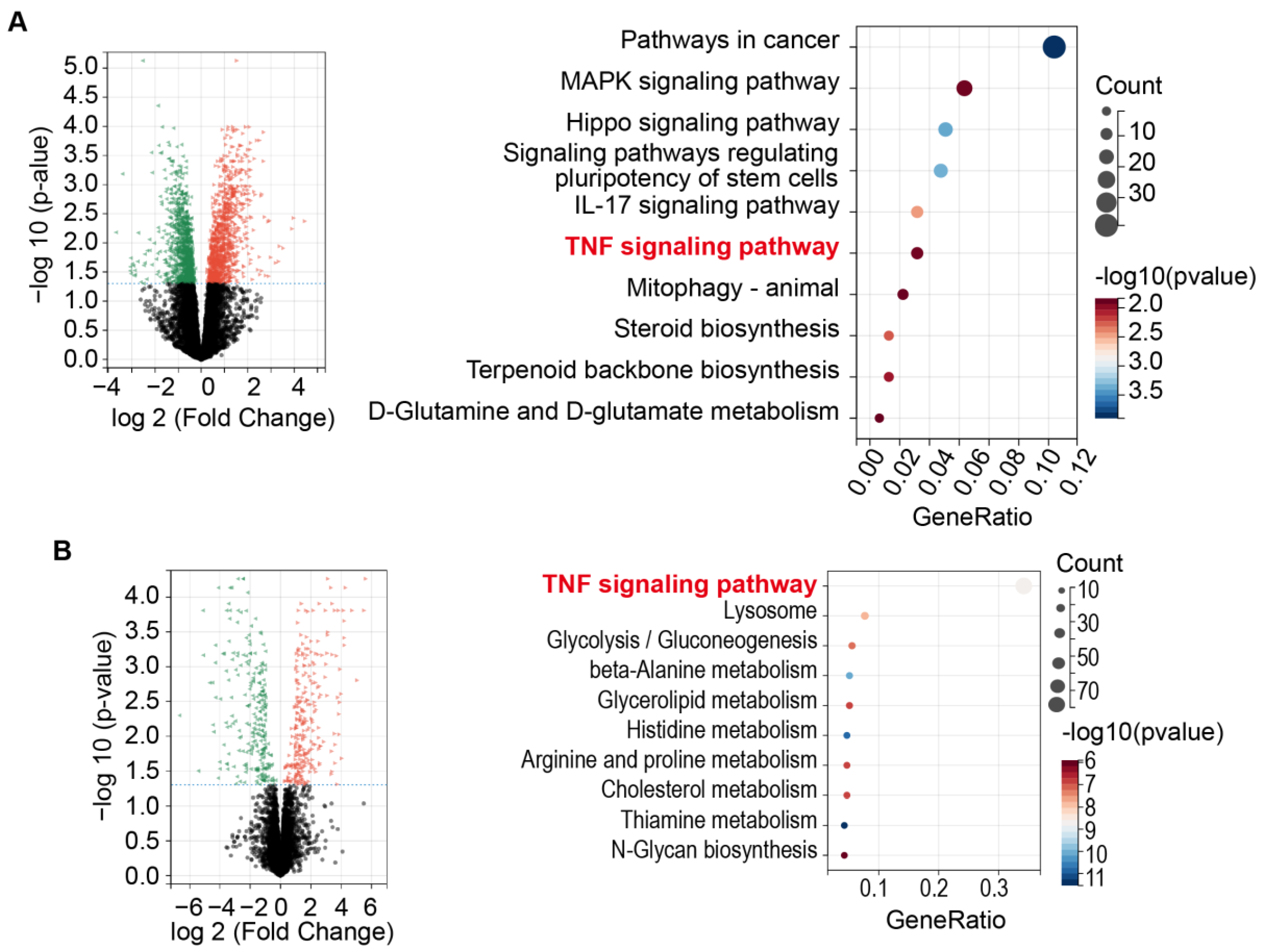 Pharmaceuticals 17 01694 g002