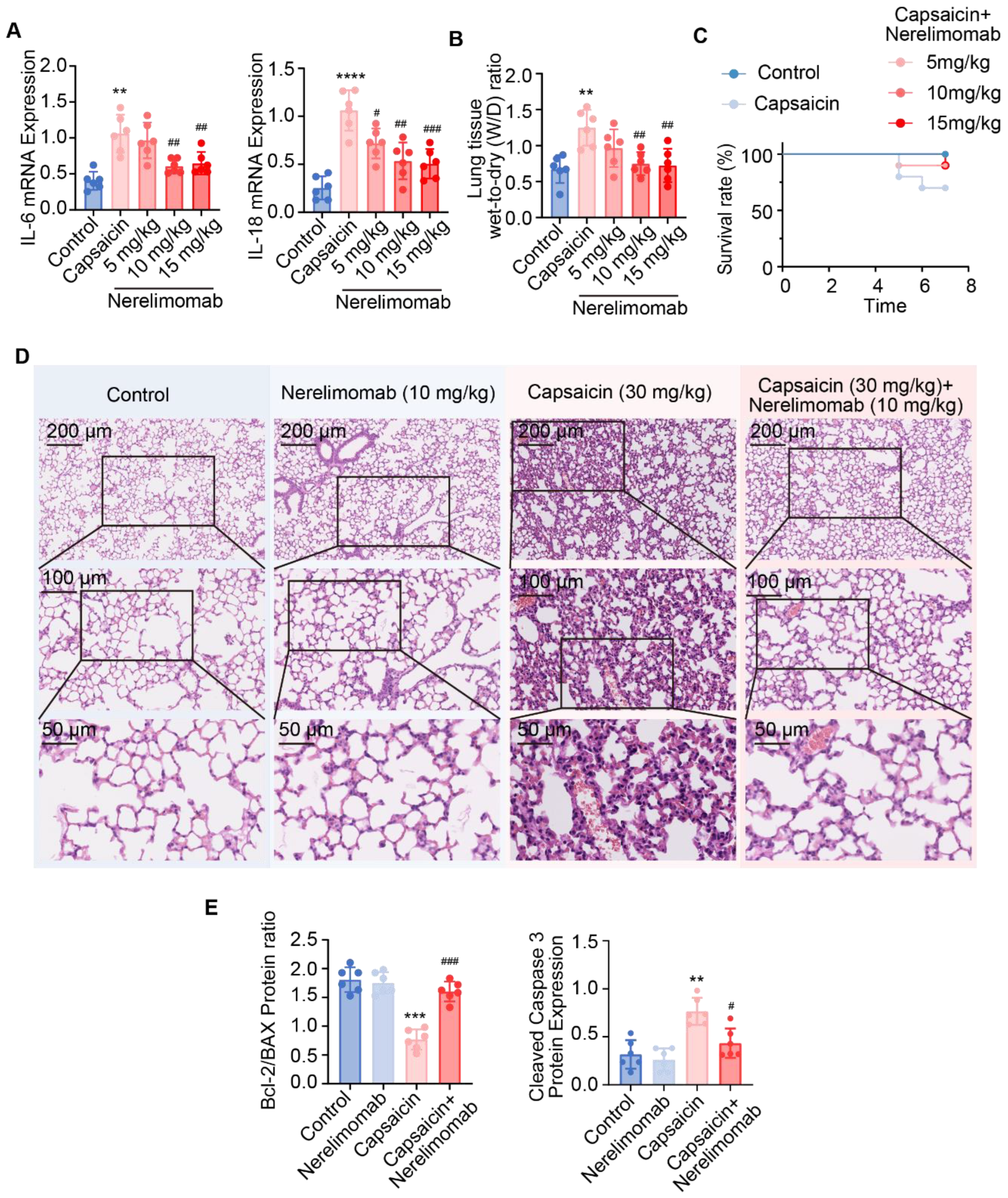 Pharmaceuticals 17 01694 g003
