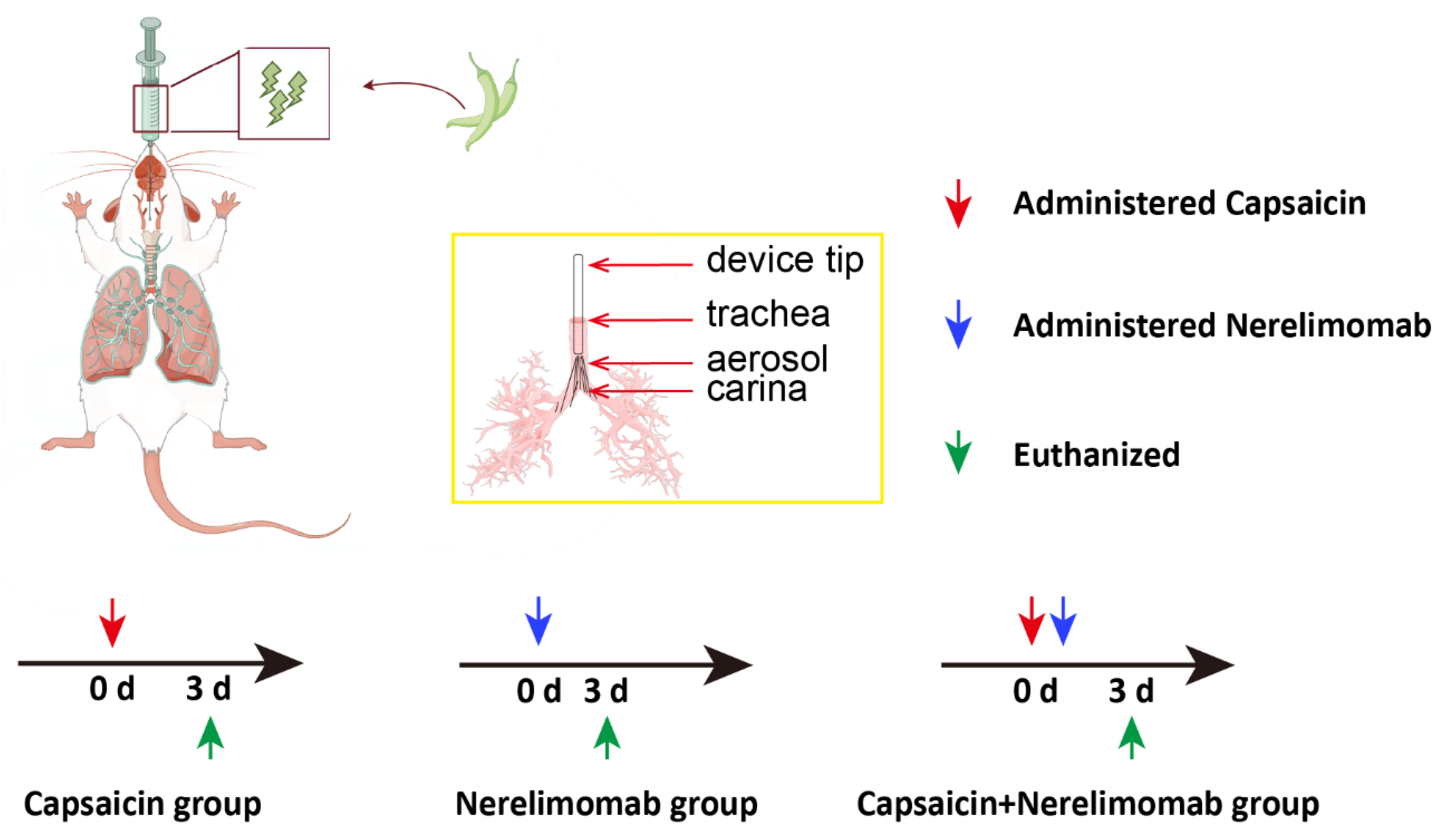 Pharmaceuticals 17 01694 g006
