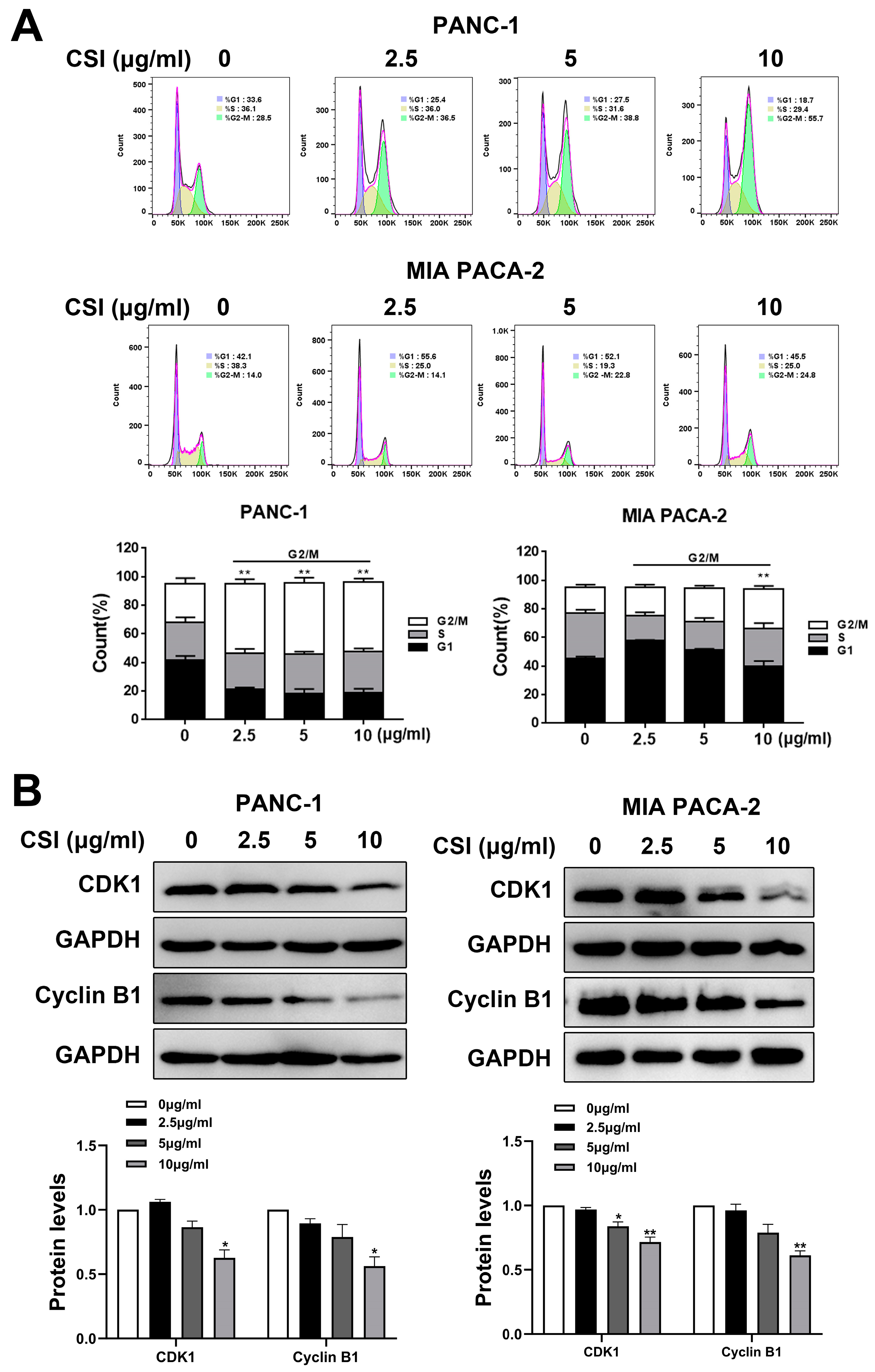 Pharmaceuticals 17 01696 g002