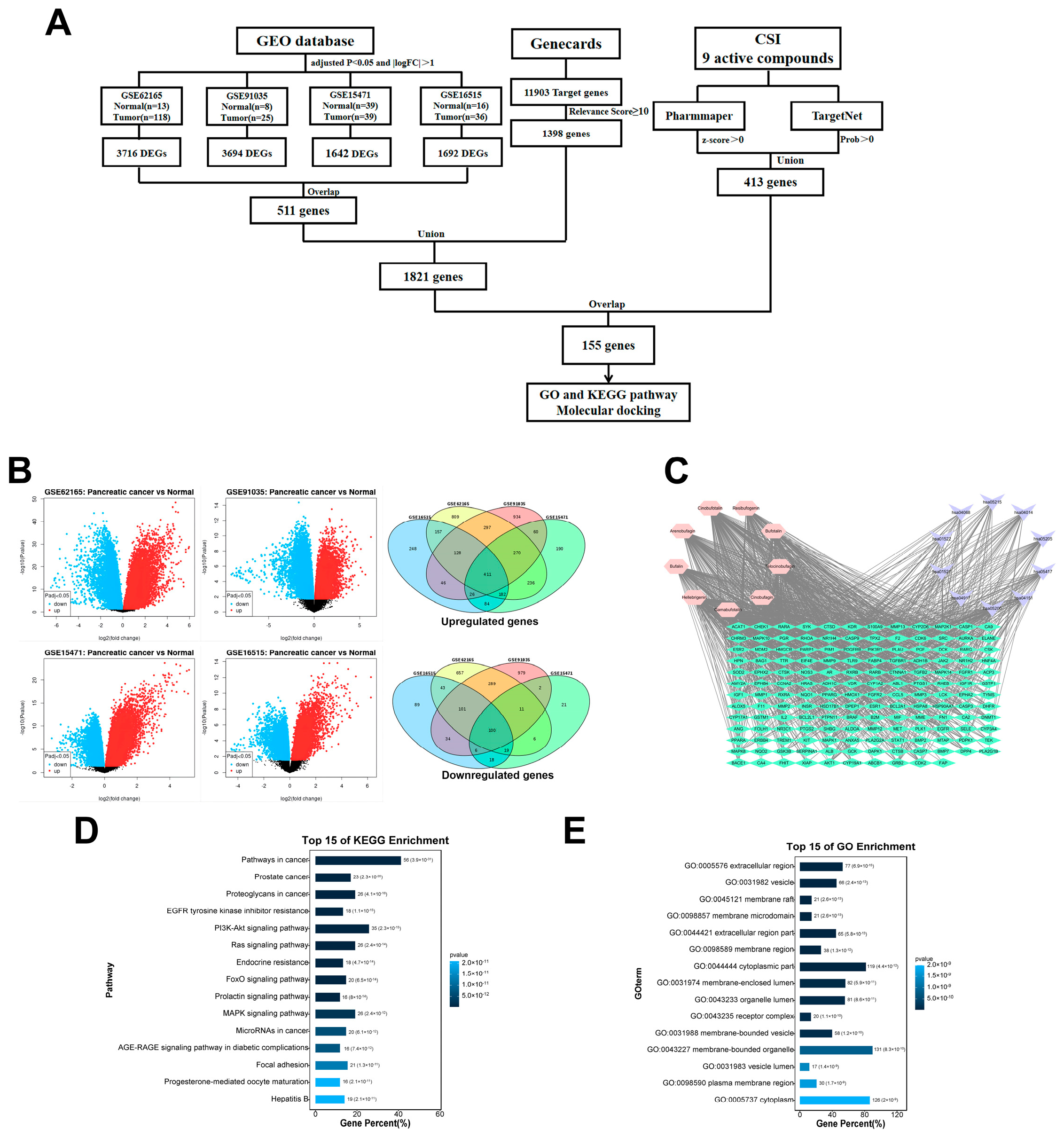 Pharmaceuticals 17 01696 g003