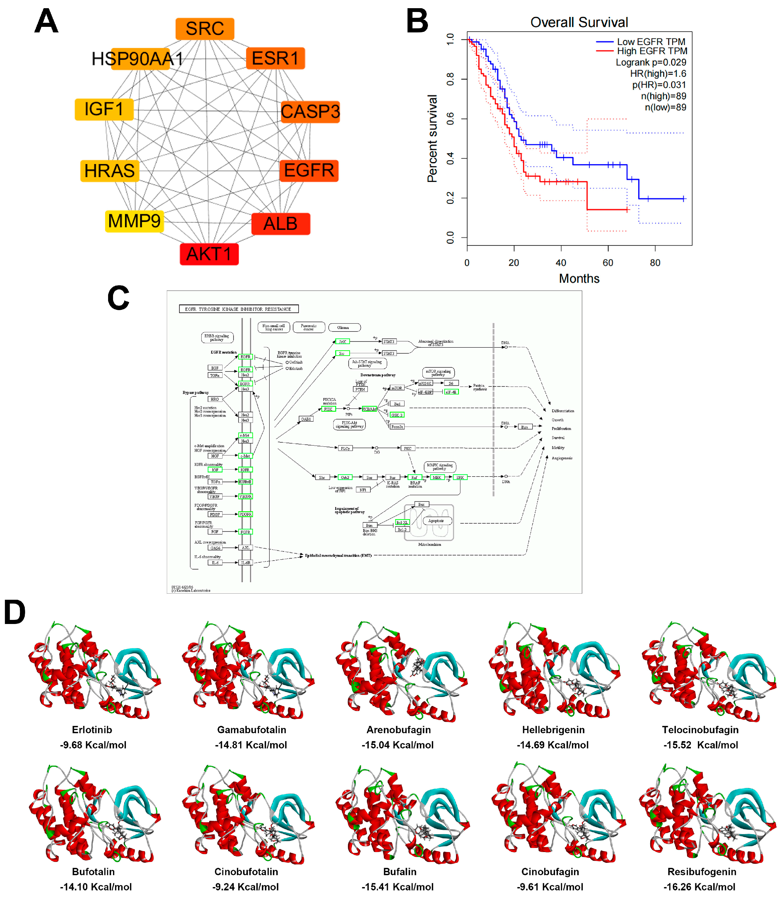 Pharmaceuticals 17 01696 g004