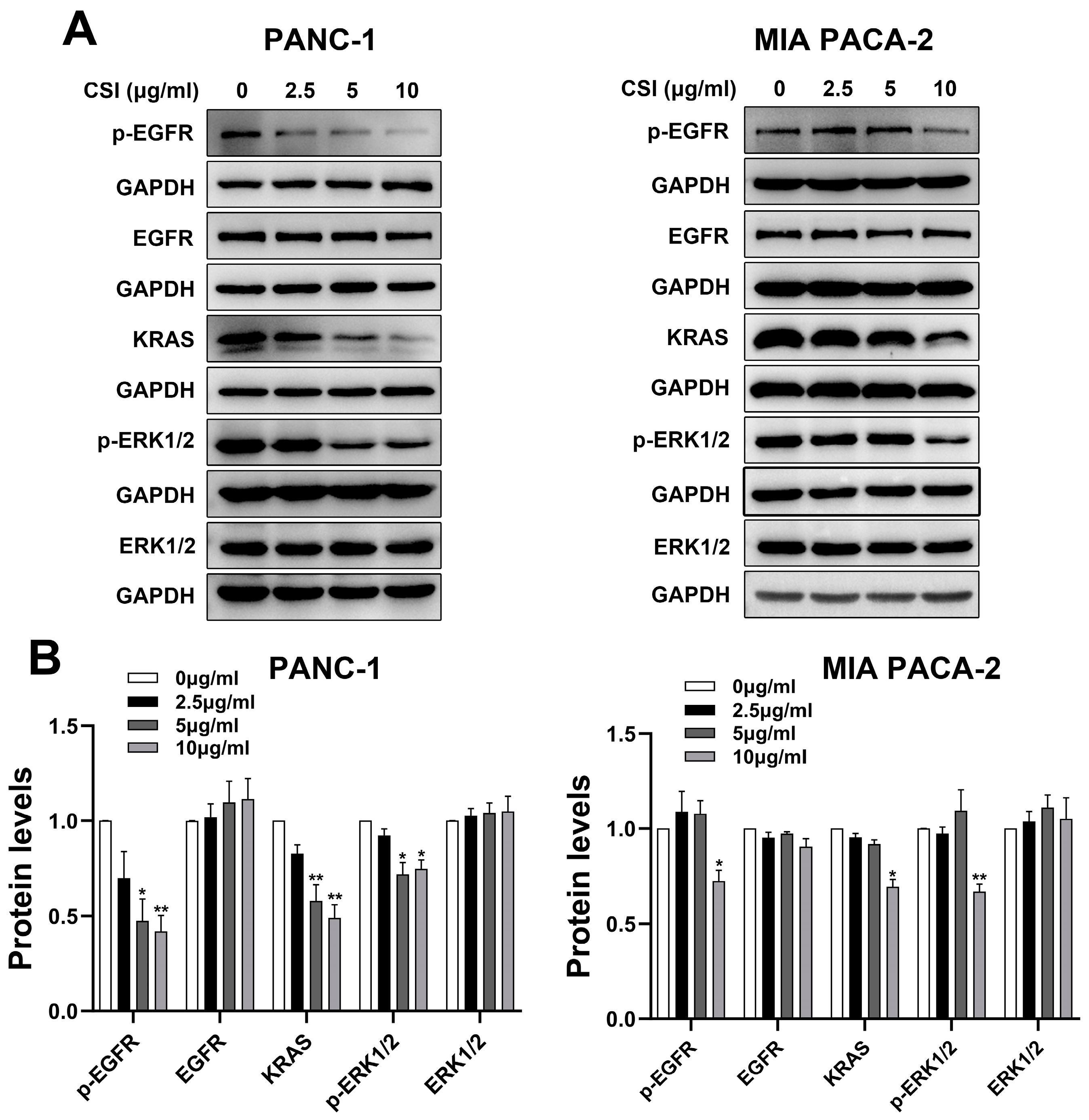 Pharmaceuticals 17 01696 g005