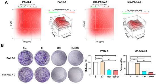 Bufadienolides from Chansu Injection Synergistically