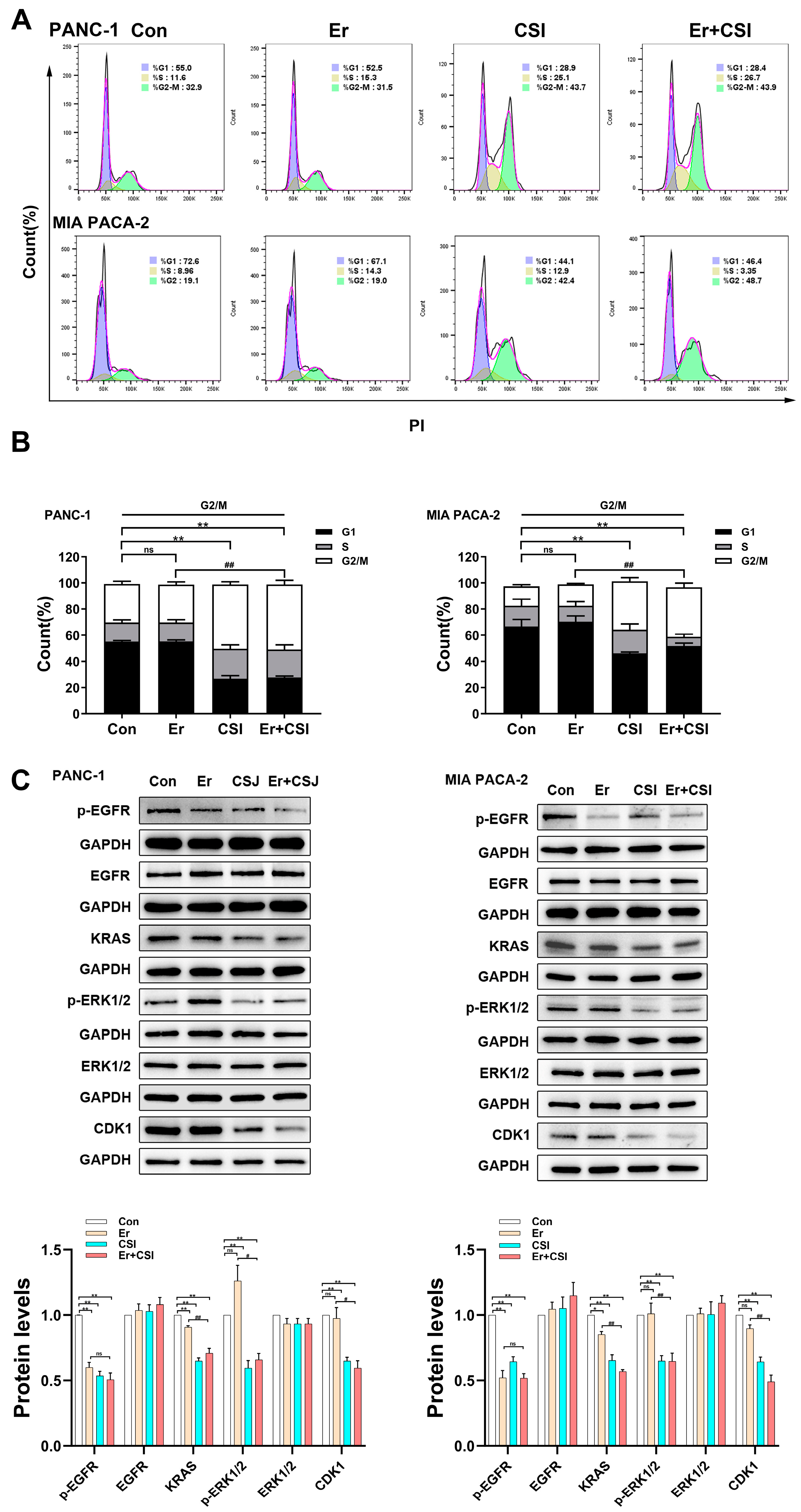 Pharmaceuticals 17 01696 g007