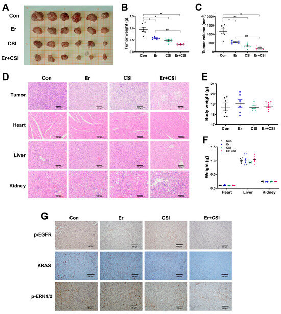 Bufadienolides from Chansu Injection Synergistically