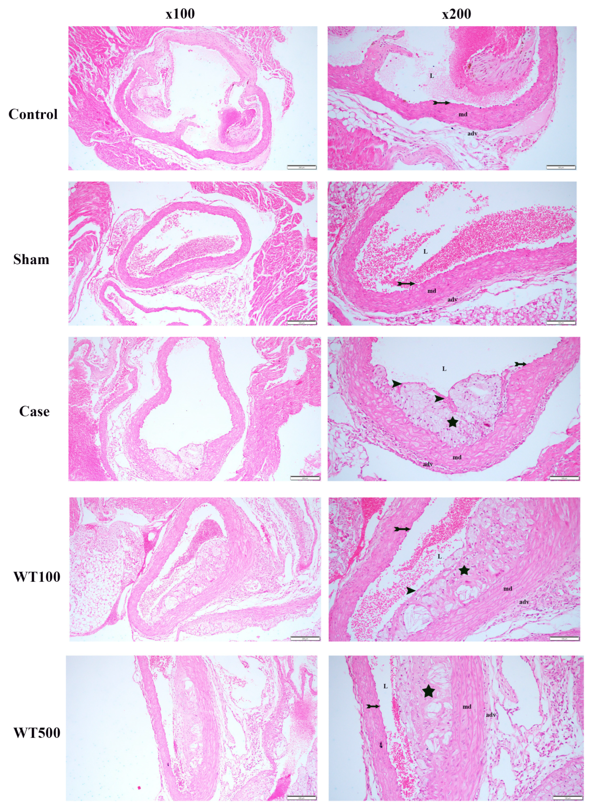 Pharmaceuticals 17 01699 g005