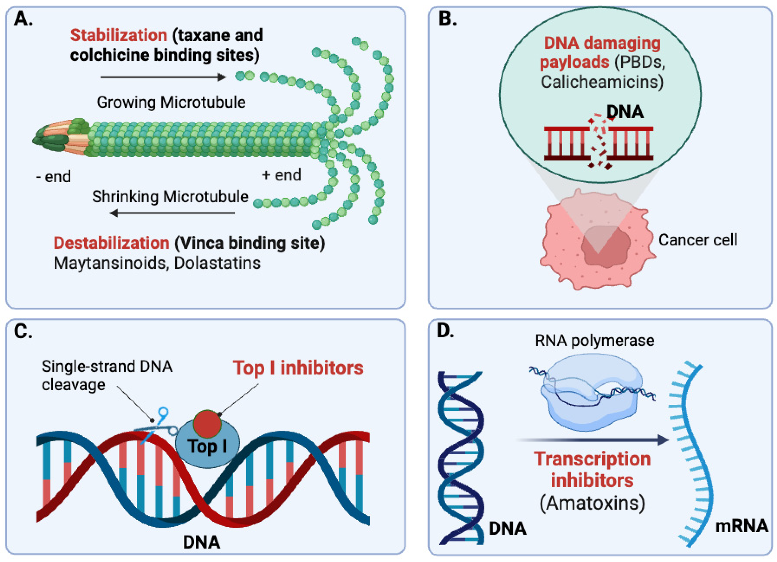 Pharmaceuticals 17 01701 g002