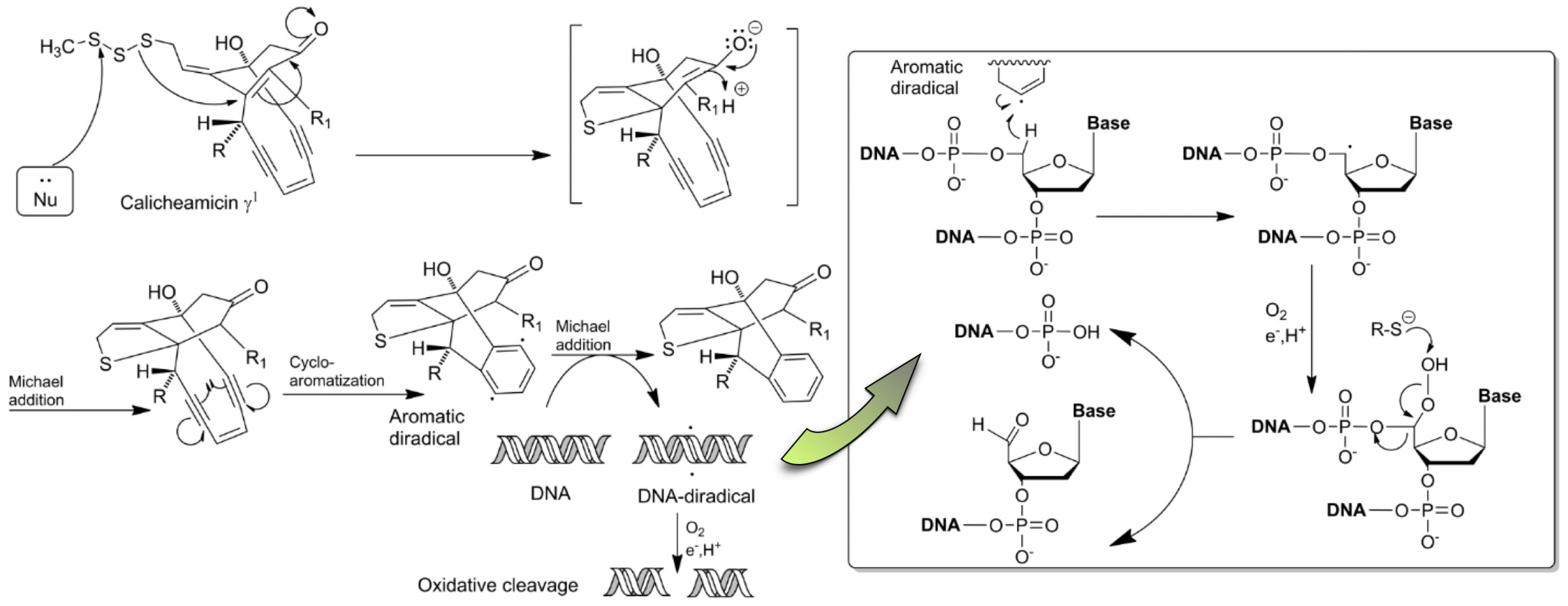 Pharmaceuticals 17 01701 g005