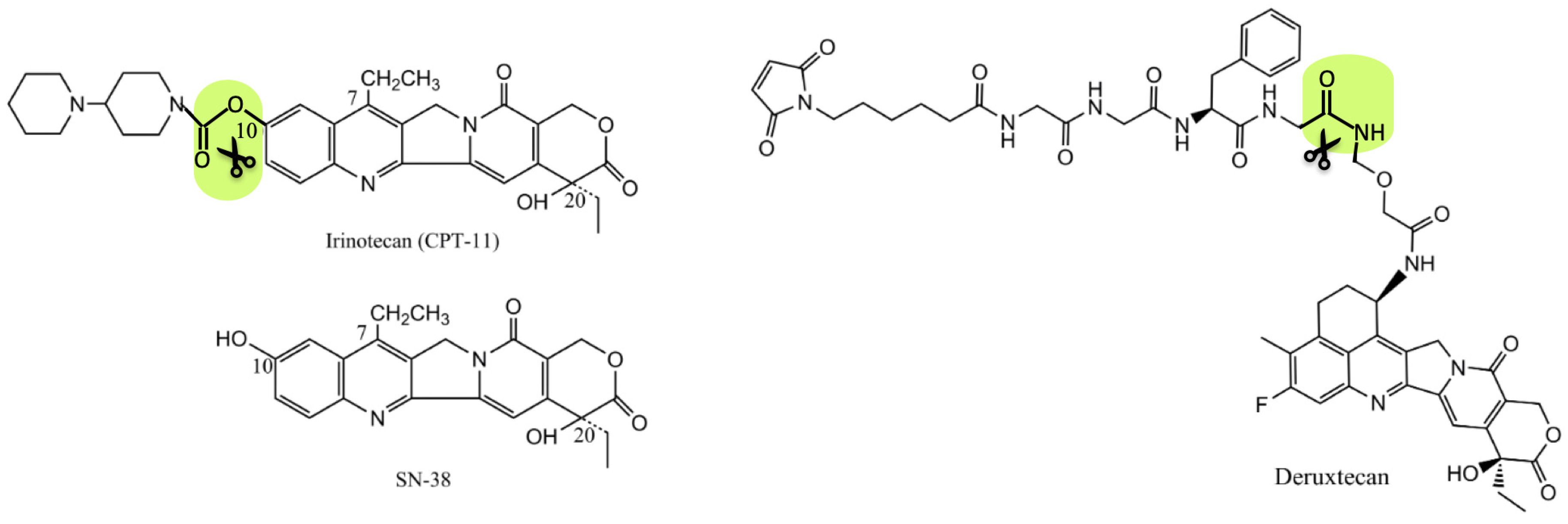 Pharmaceuticals 17 01701 g007