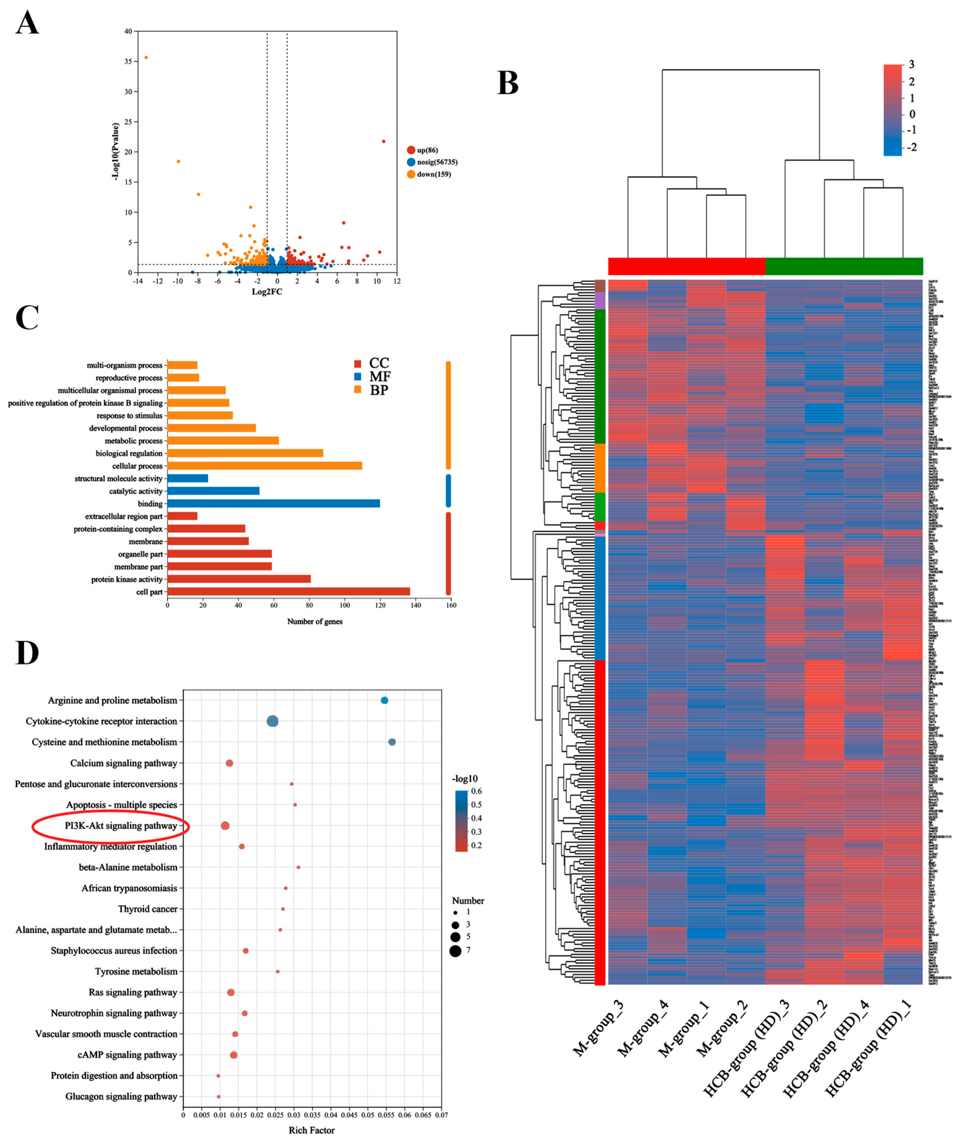 Pharmaceuticals 17 01704 g004