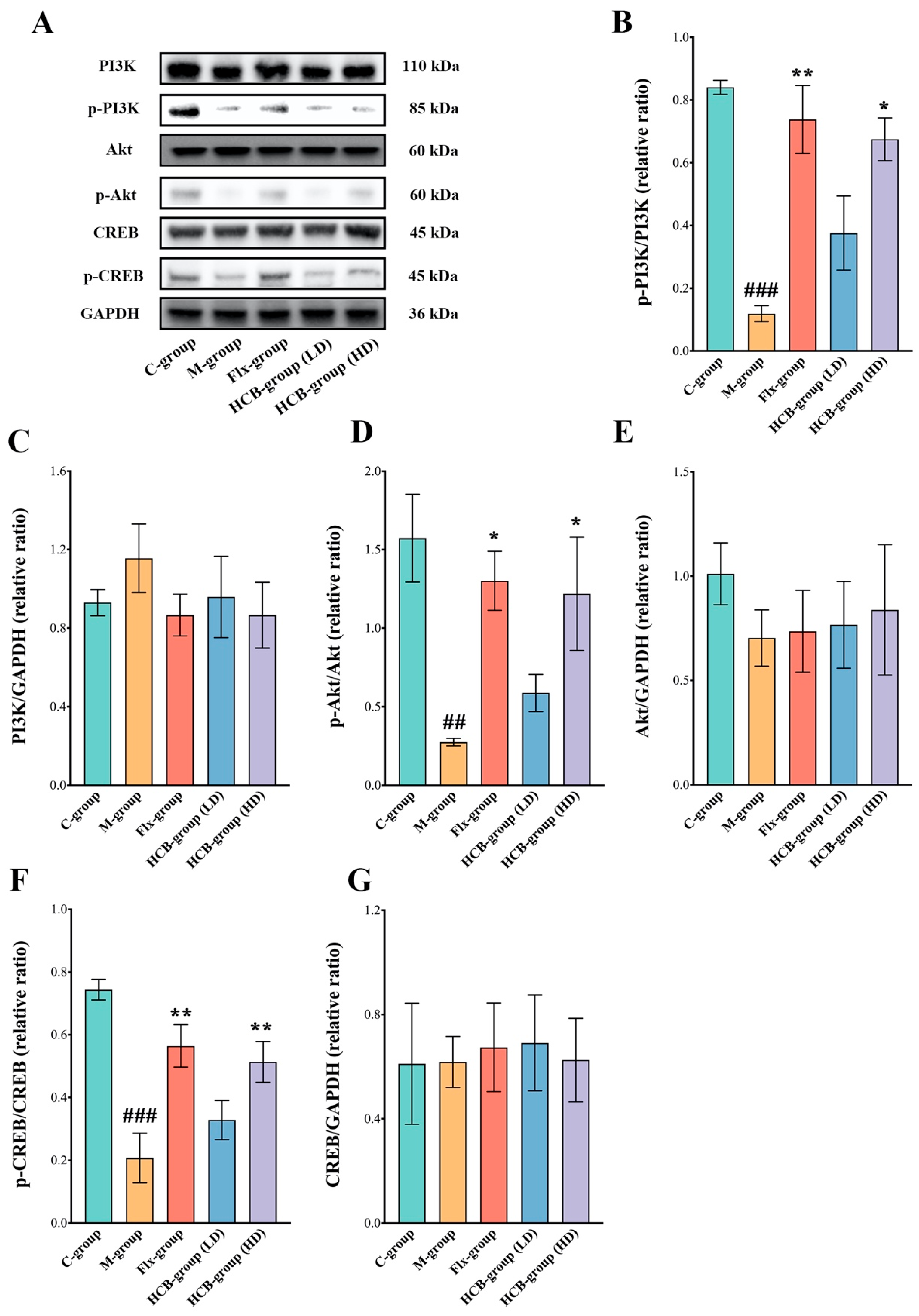 Pharmaceuticals 17 01704 g005
