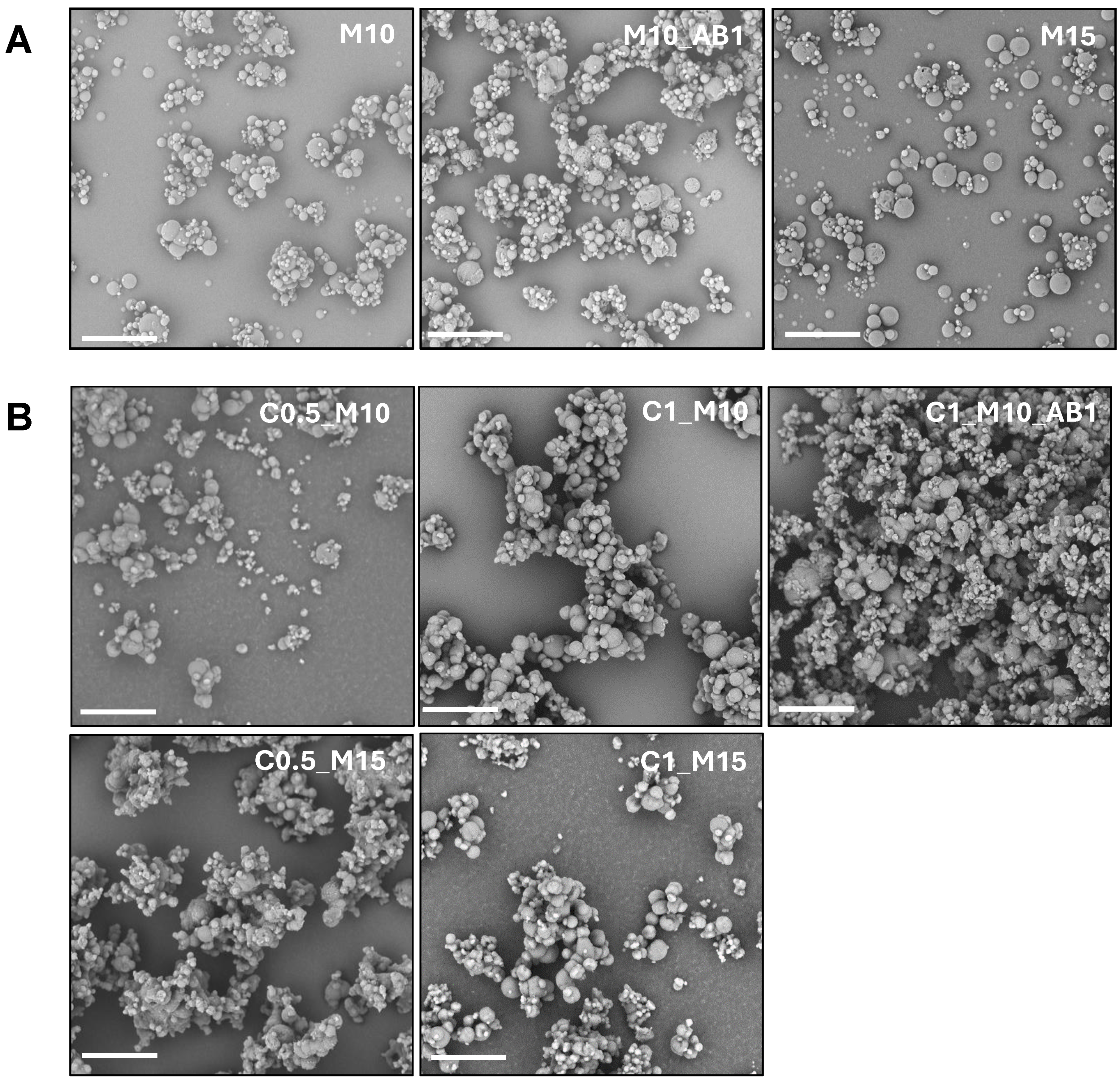 Pharmaceuticals 17 01708 g002