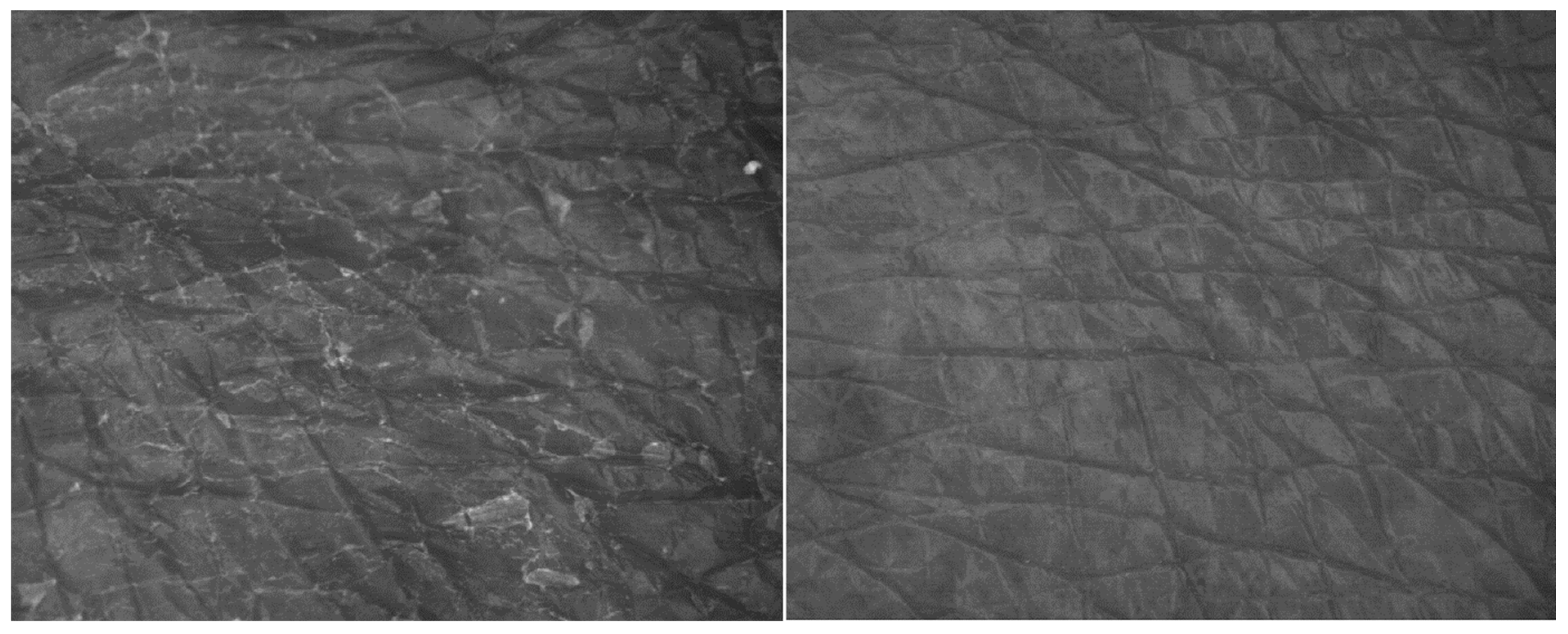 Pharmaceuticals 17 01709 g007