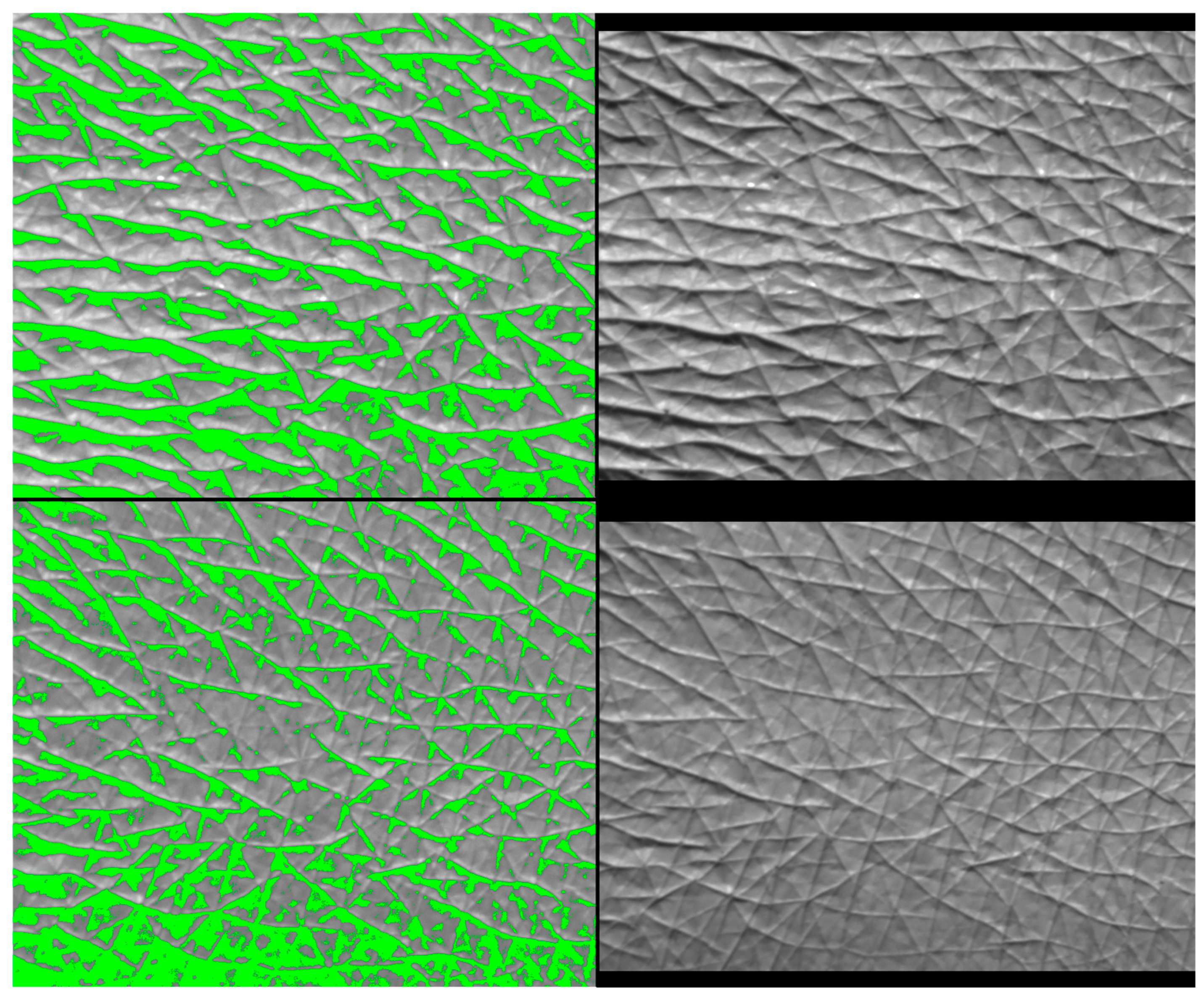 Pharmaceuticals 17 01709 g010