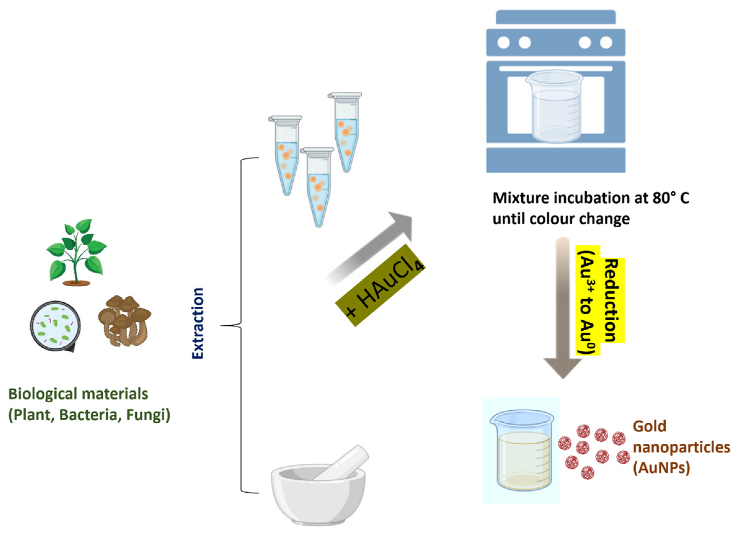 Pharmaceuticals 17 01711 g003