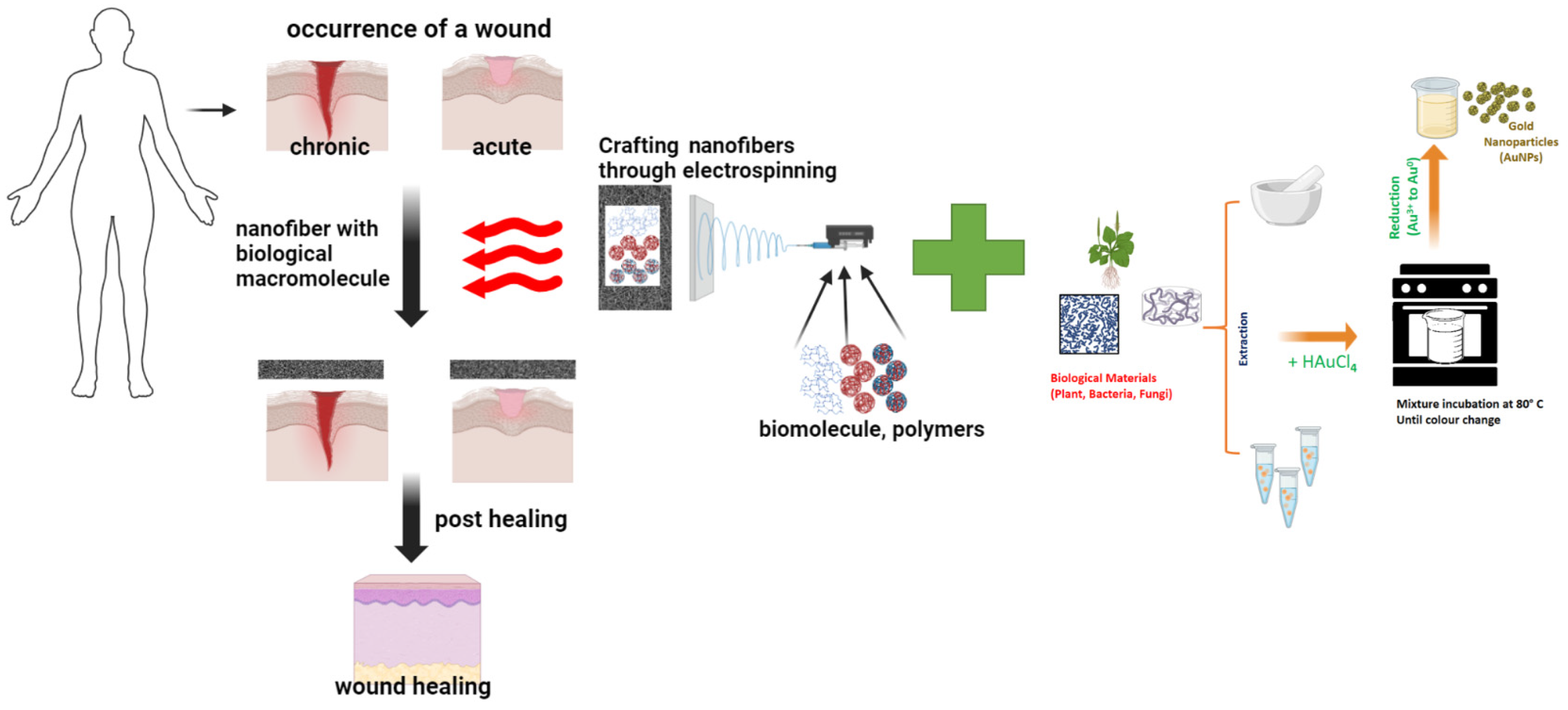 Pharmaceuticals 17 01711 g007