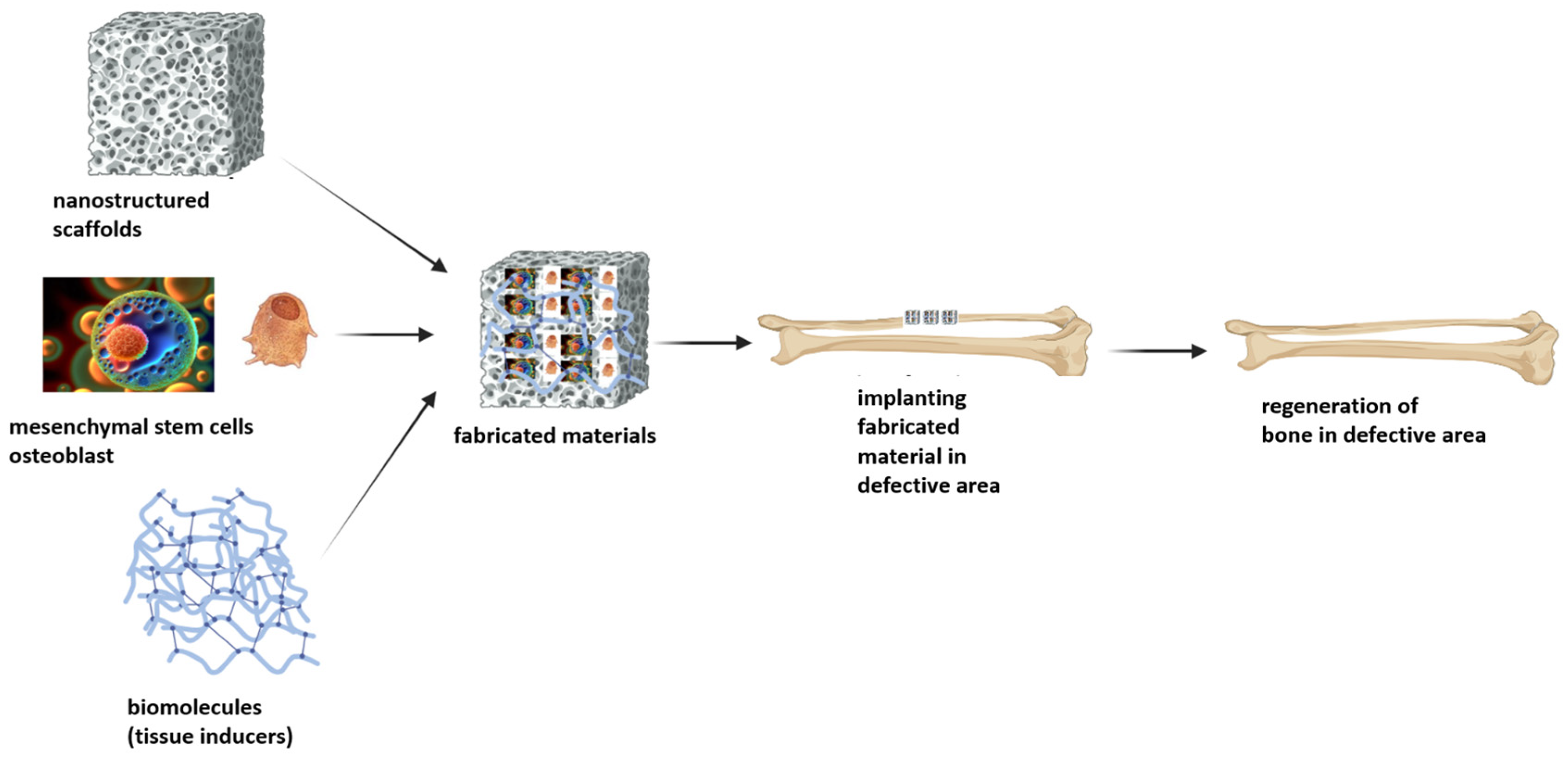 Pharmaceuticals 17 01711 g008