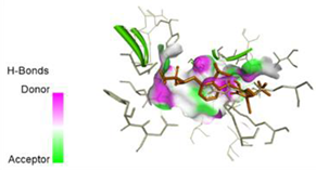 Pharmaceuticals 17 01712 i044