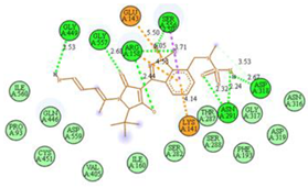 Pharmaceuticals 17 01712 i045