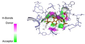 Pharmaceuticals 17 01712 i046