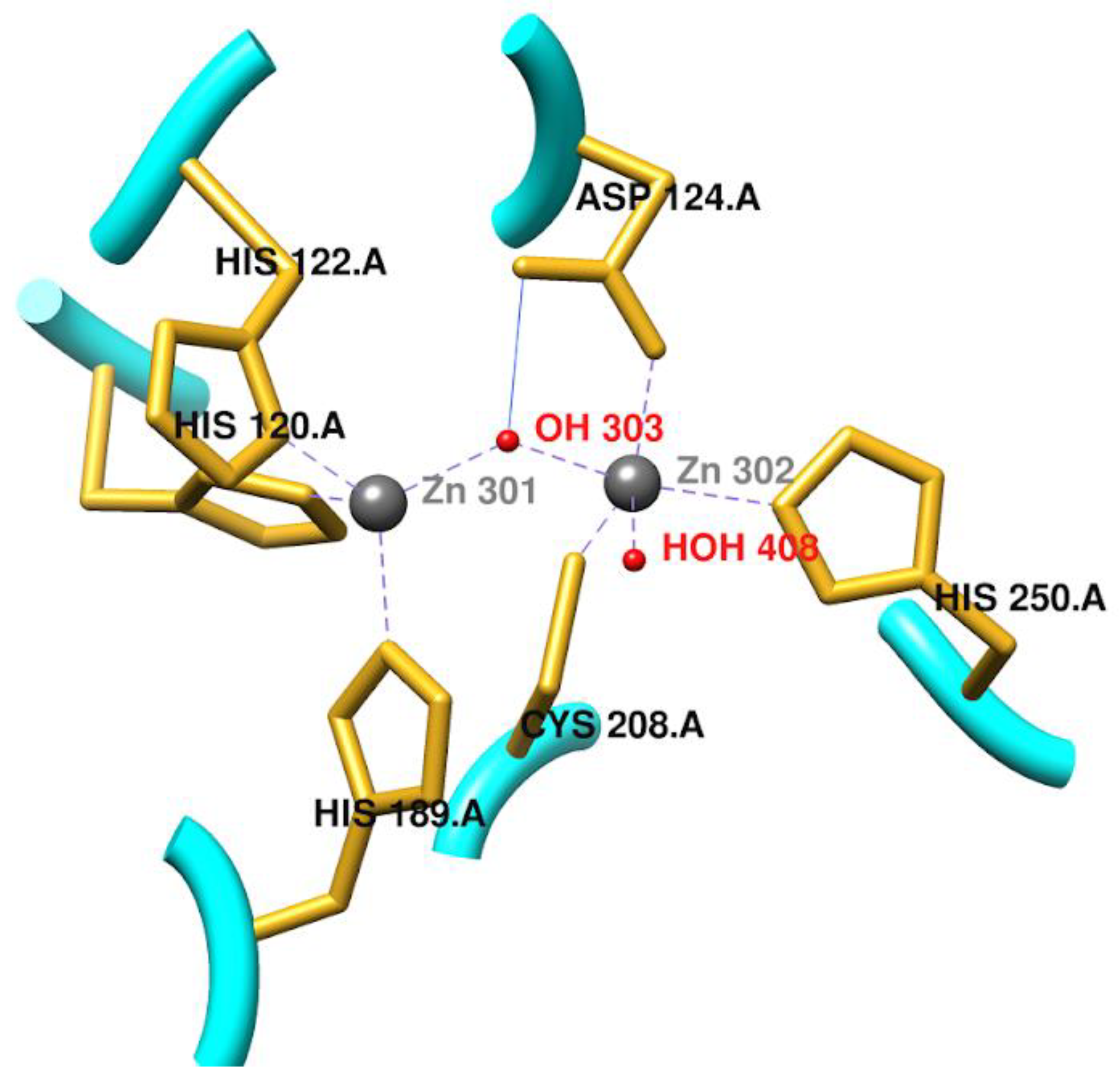 Pharmaceuticals 17 01715 g001