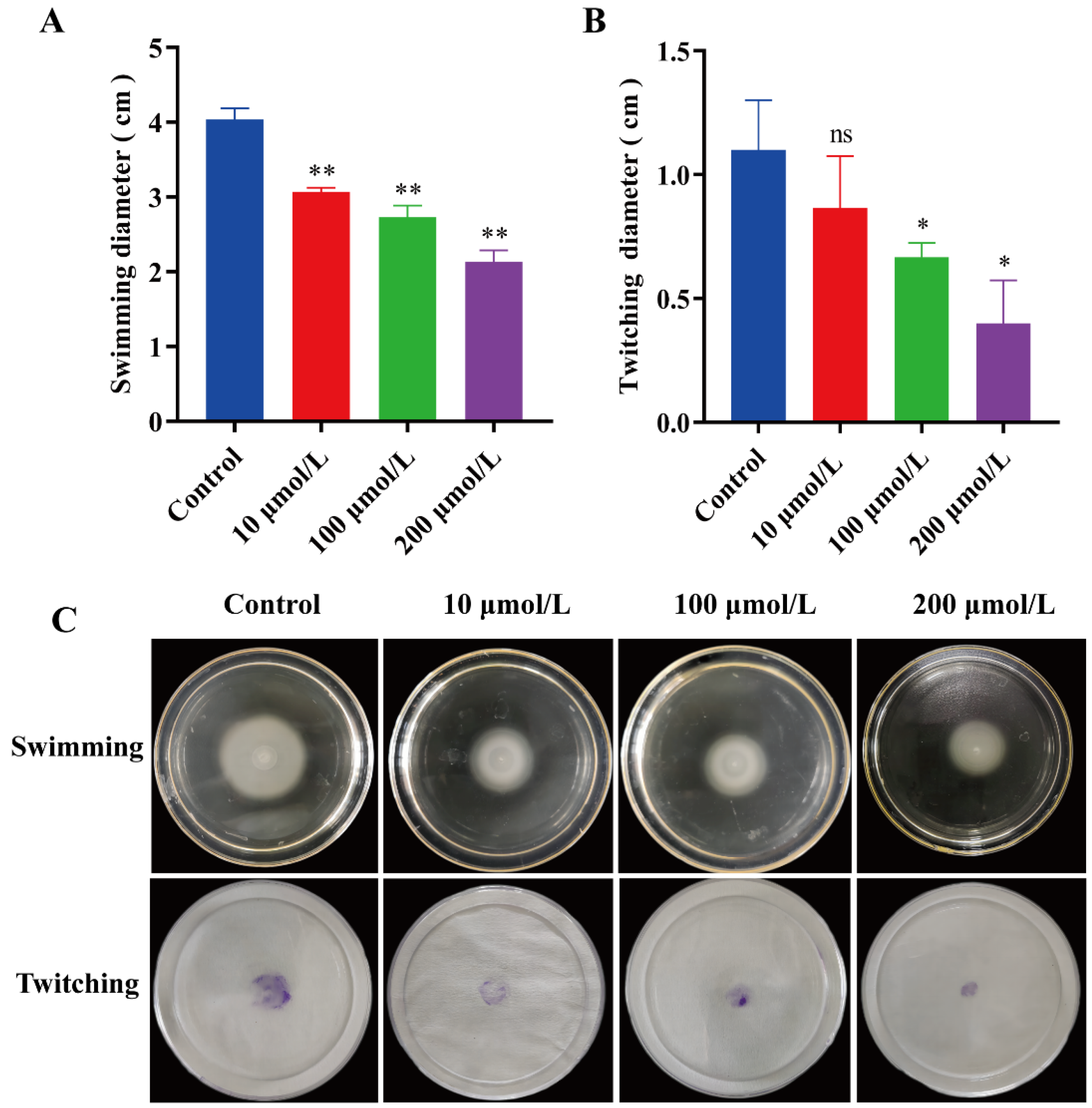 Pharmaceuticals 17 01719 g005