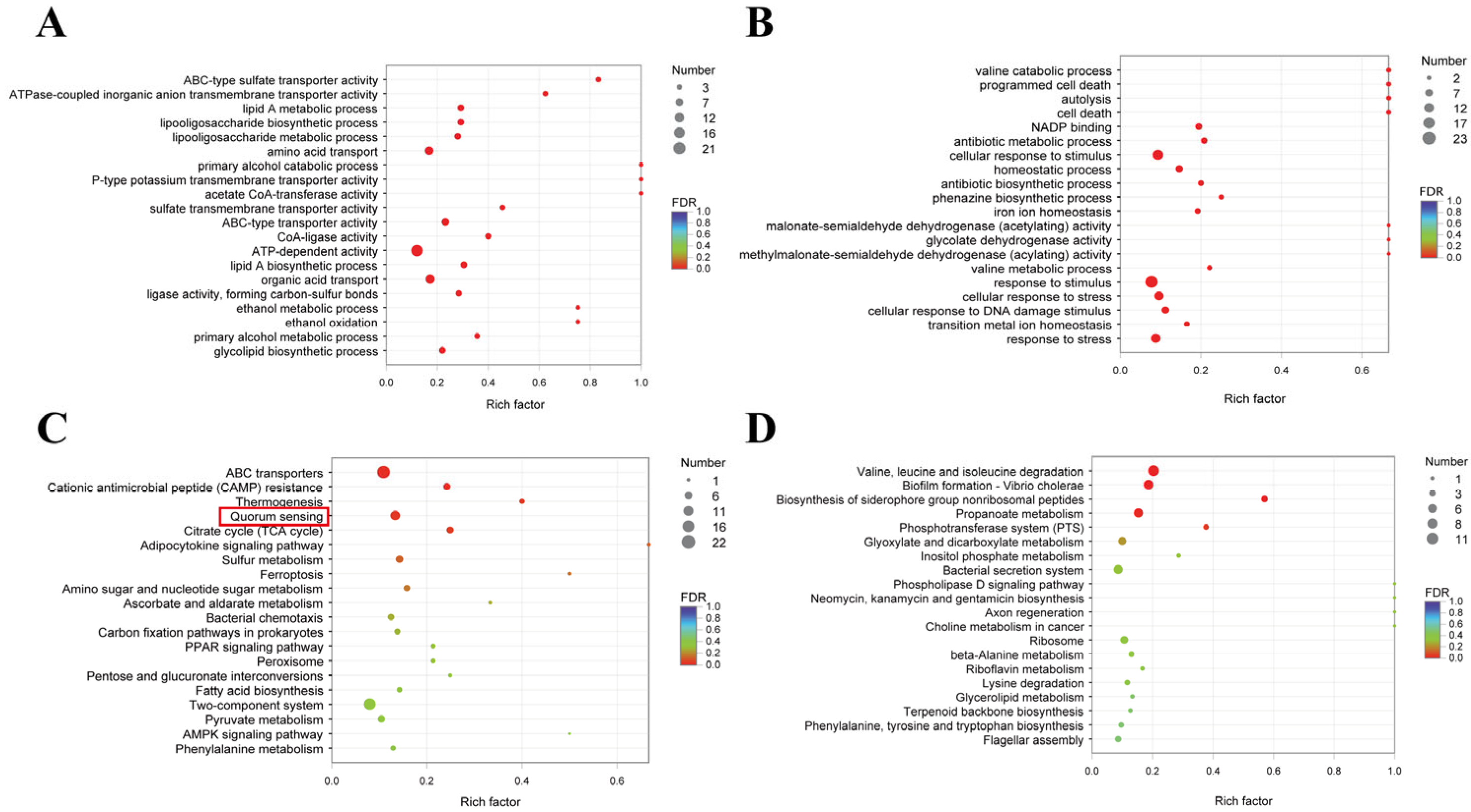 Pharmaceuticals 17 01719 g008