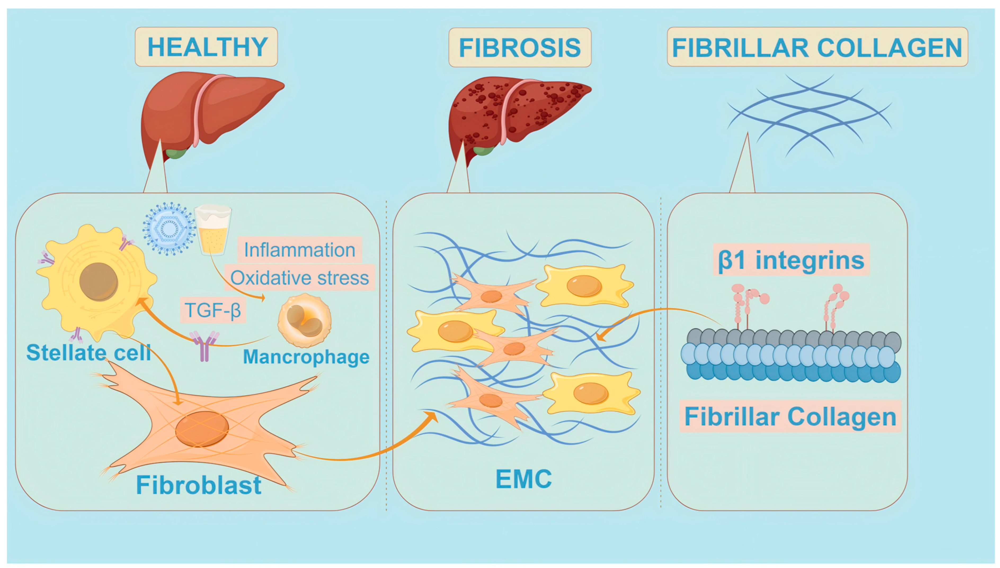 Pharmaceuticals 17 01724 g001