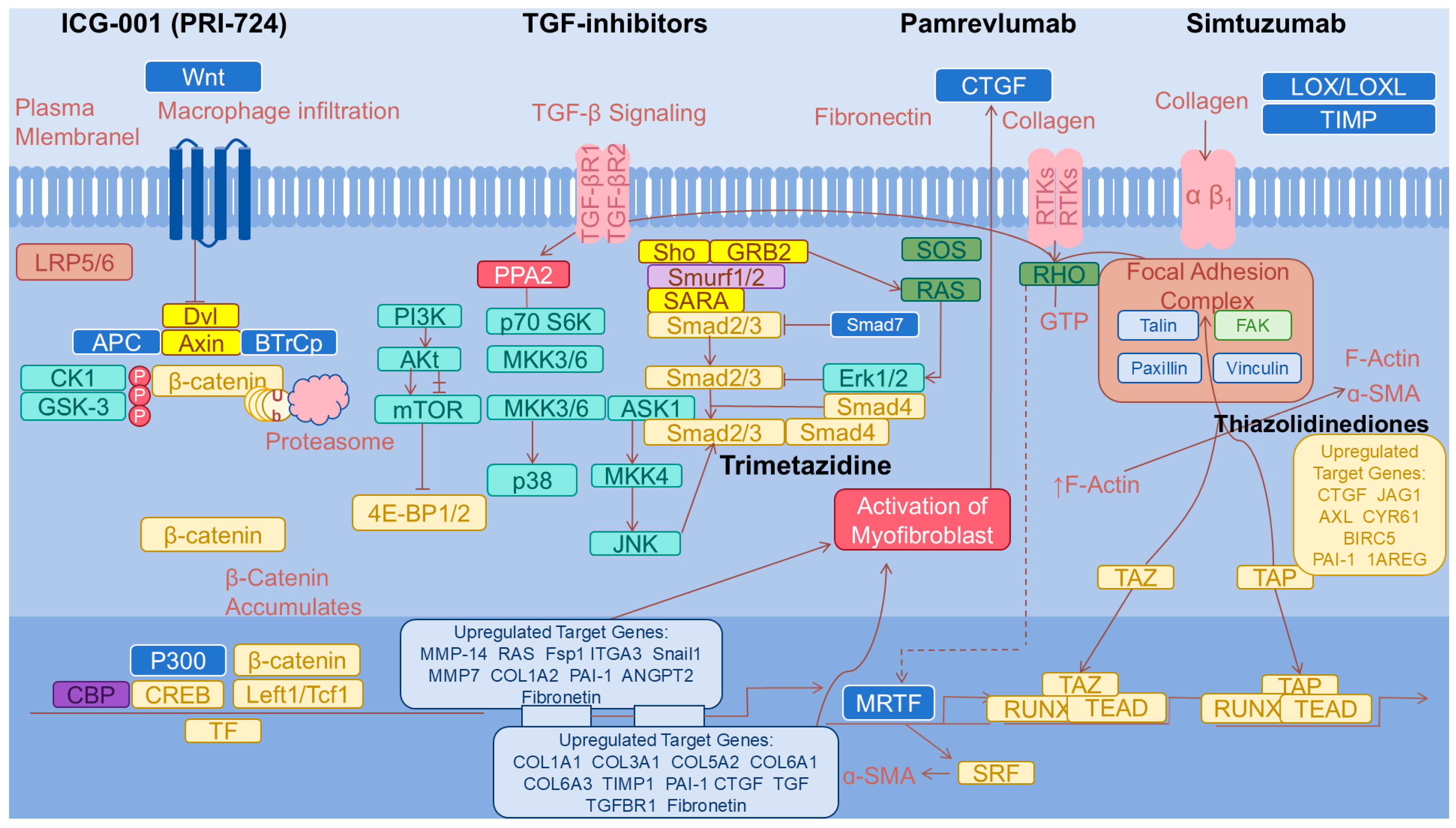 Pharmaceuticals 17 01724 g002