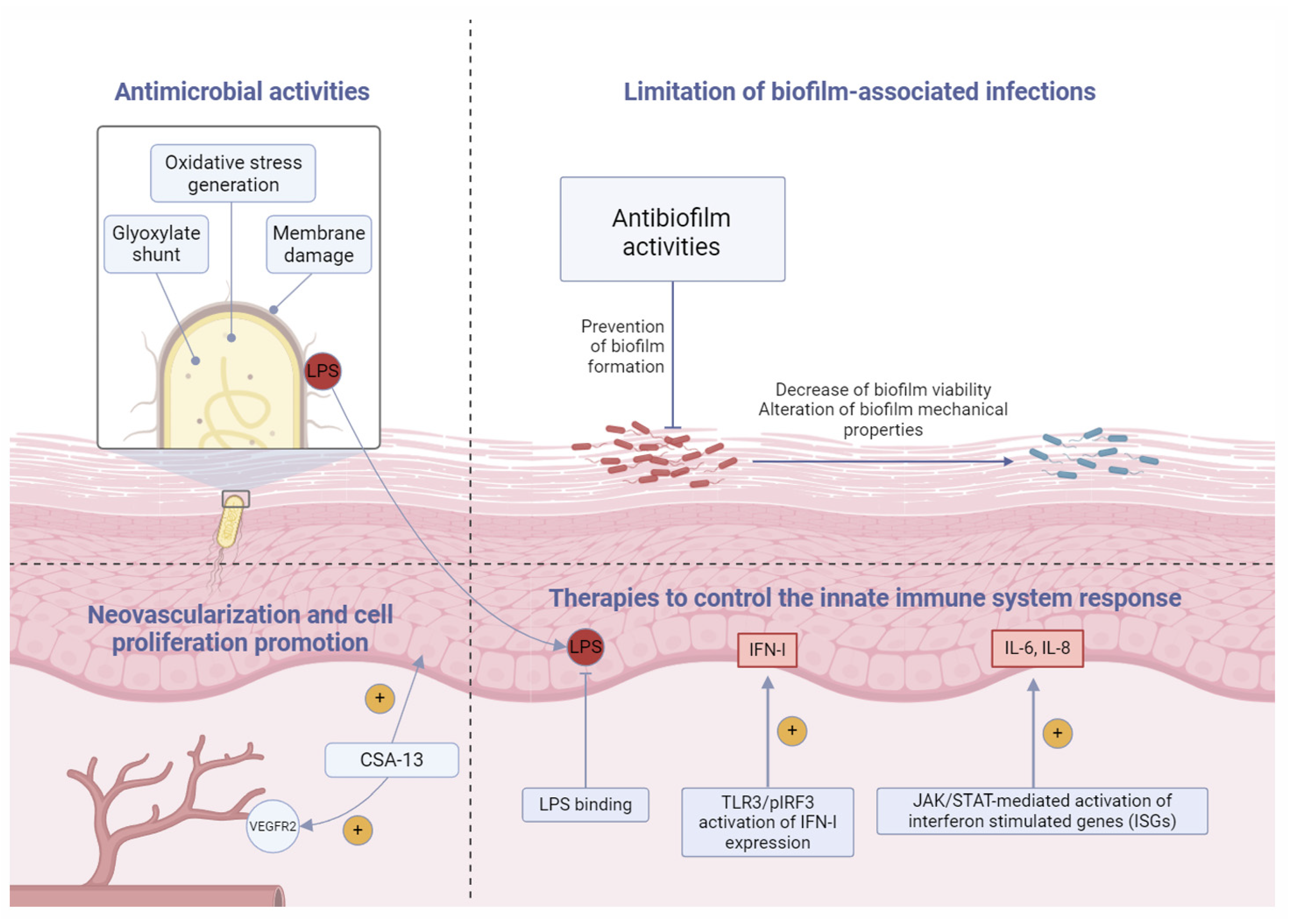 Pharmaceuticals 17 01725 g001