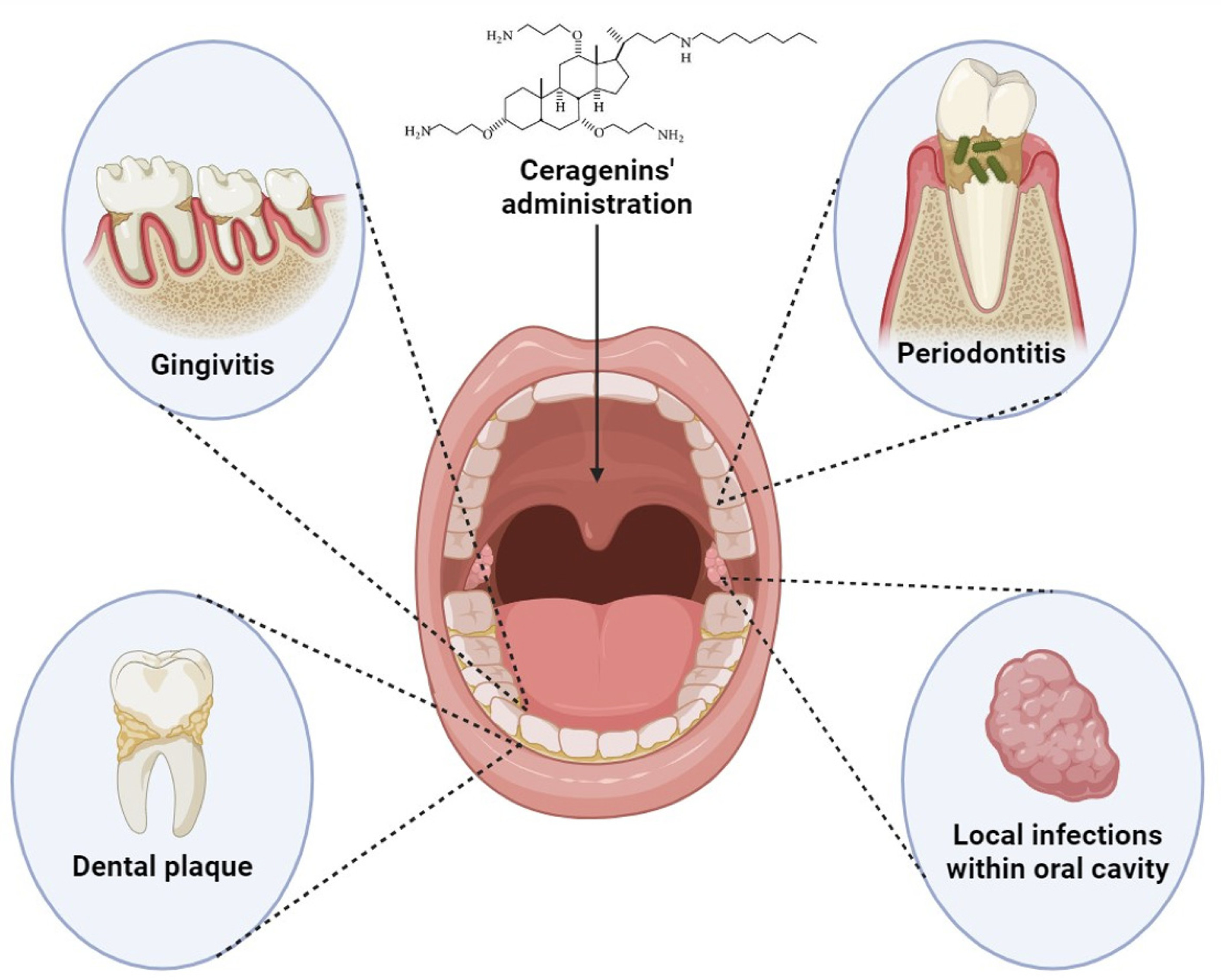 Pharmaceuticals 17 01725 g002