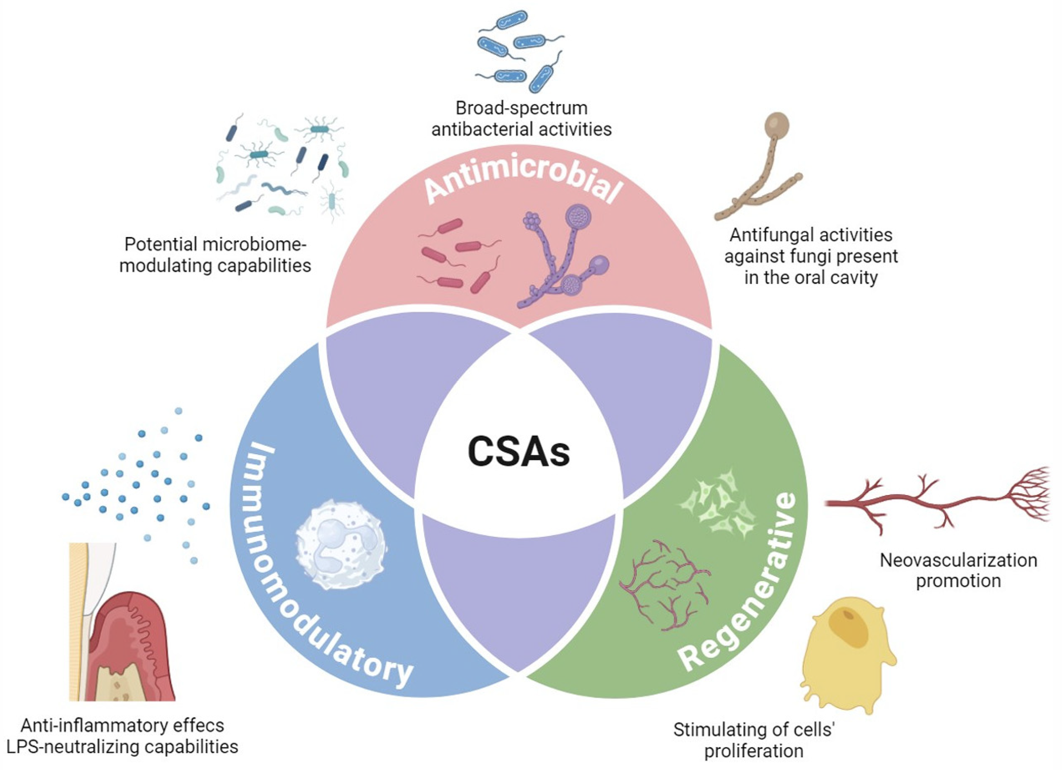 Pharmaceuticals 17 01725 g003