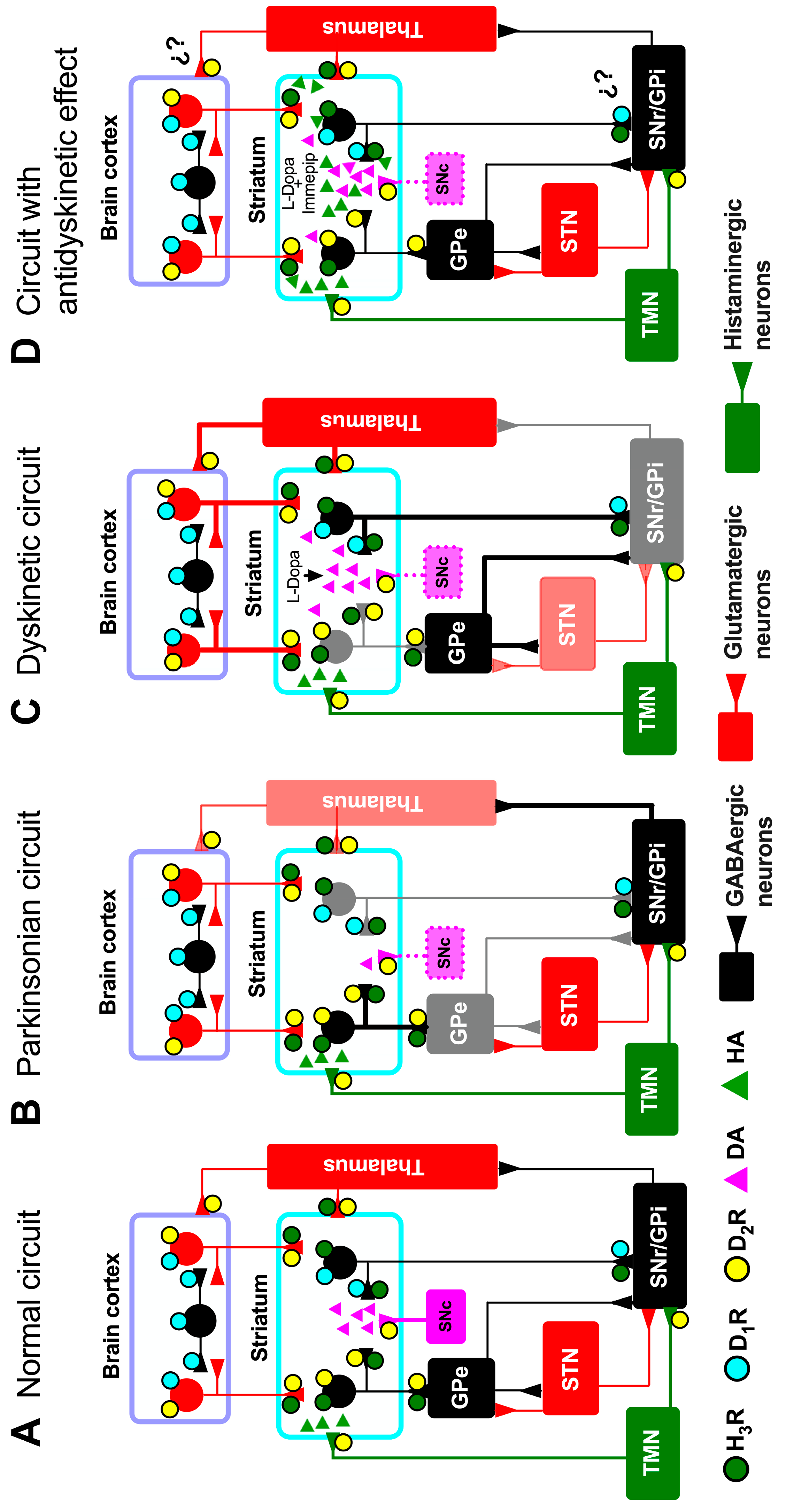 Pharmaceuticals 17 01726 g001