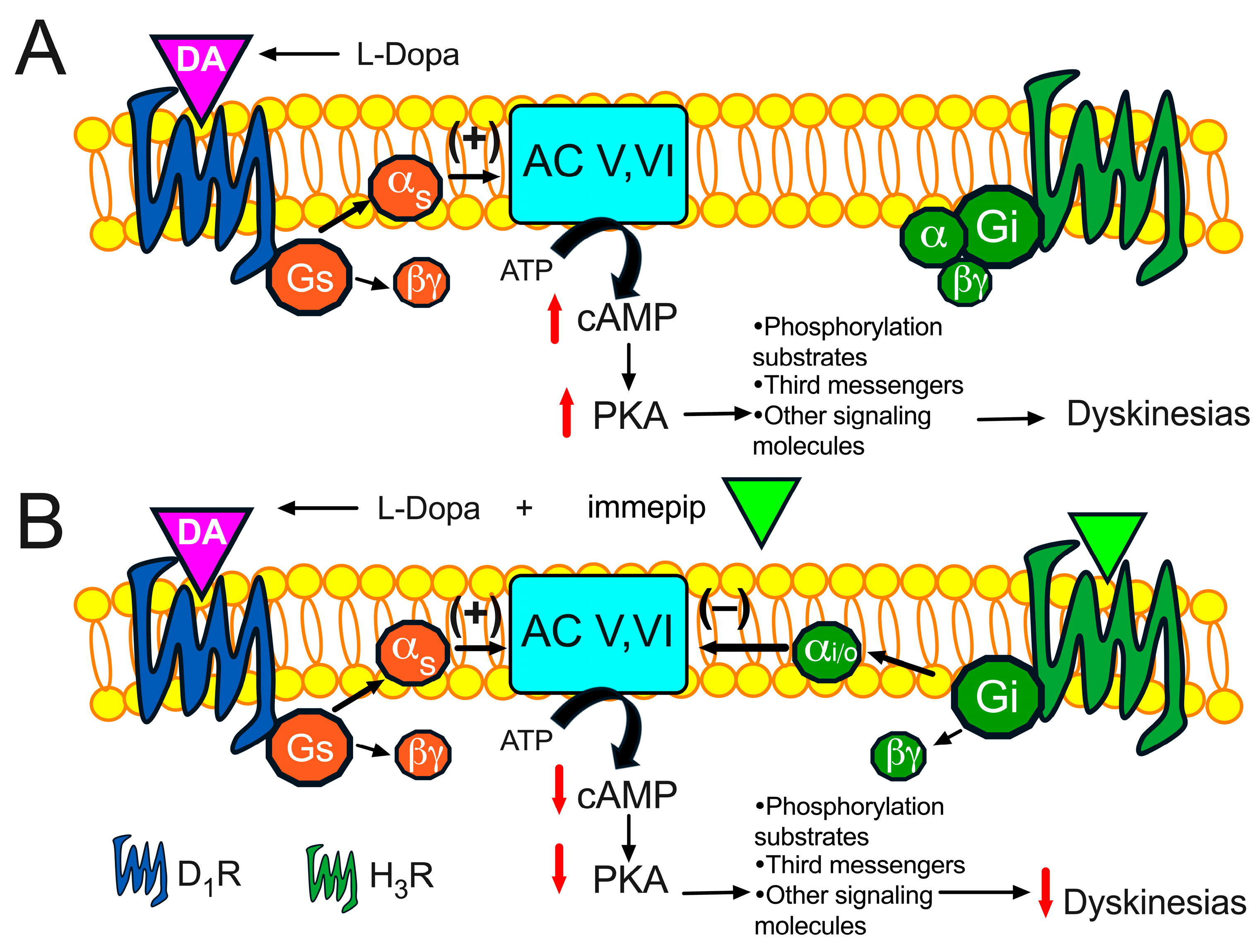 Pharmaceuticals 17 01726 g003