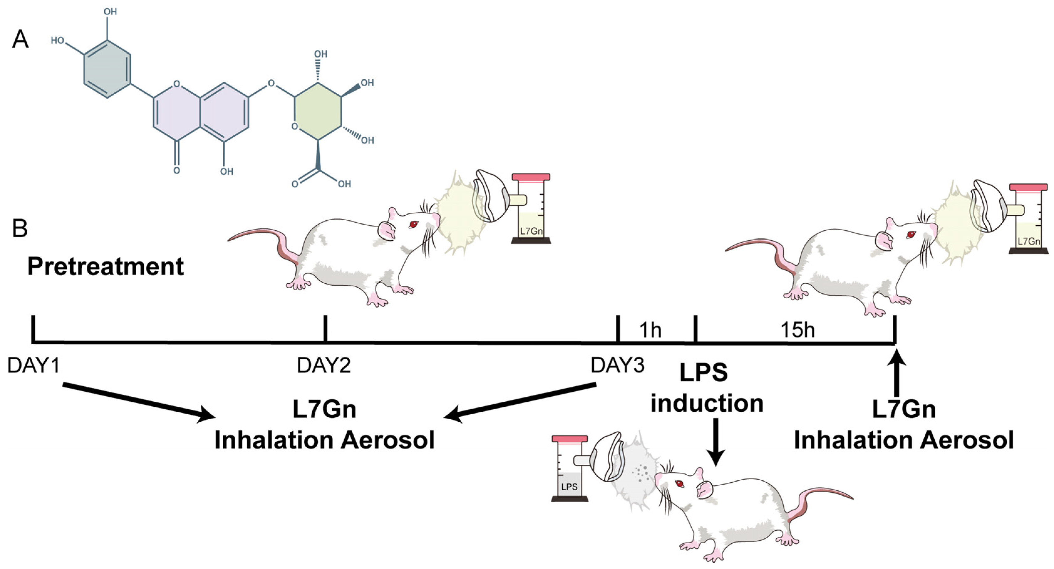 Pharmaceuticals 17 01731 g001
